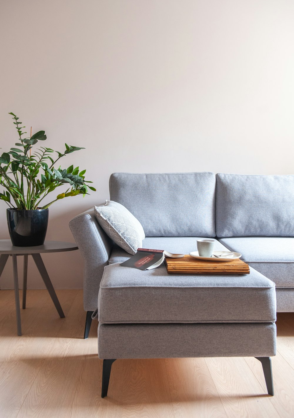 a living room with a gray couch and a plant