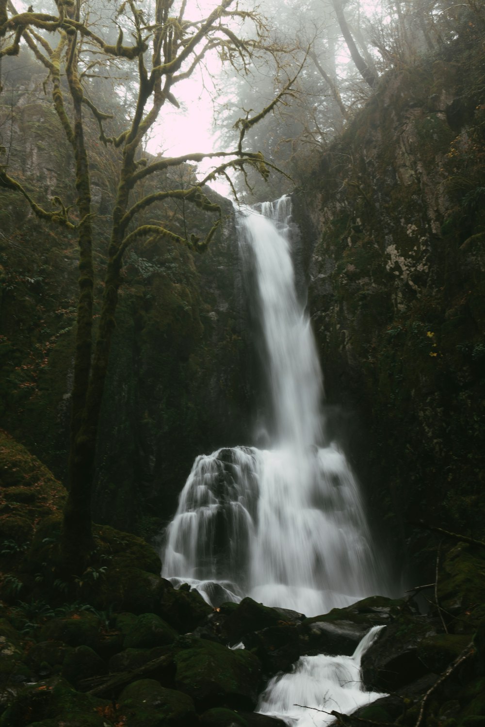 a waterfall in the middle of a forest