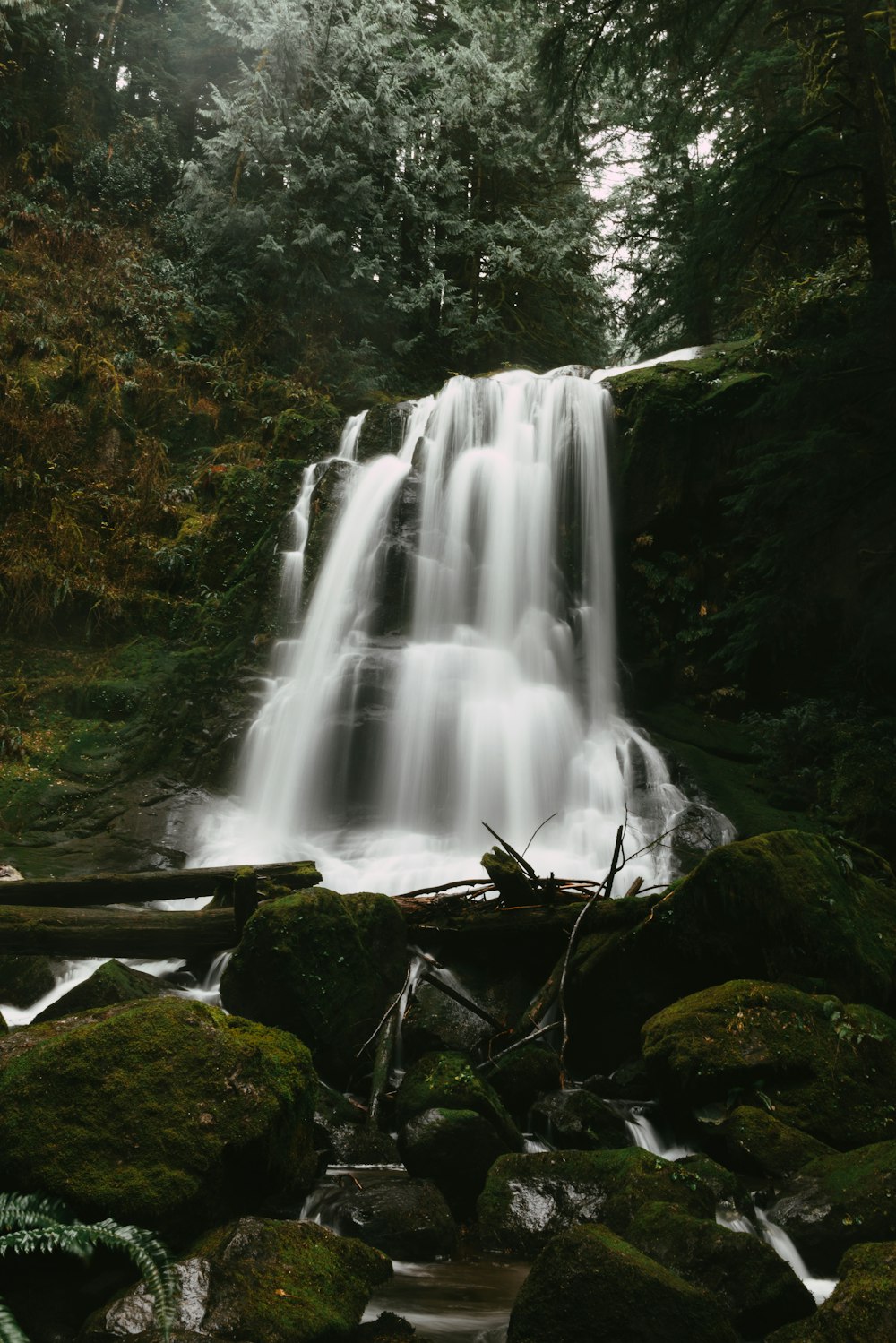 a waterfall in the middle of a forest