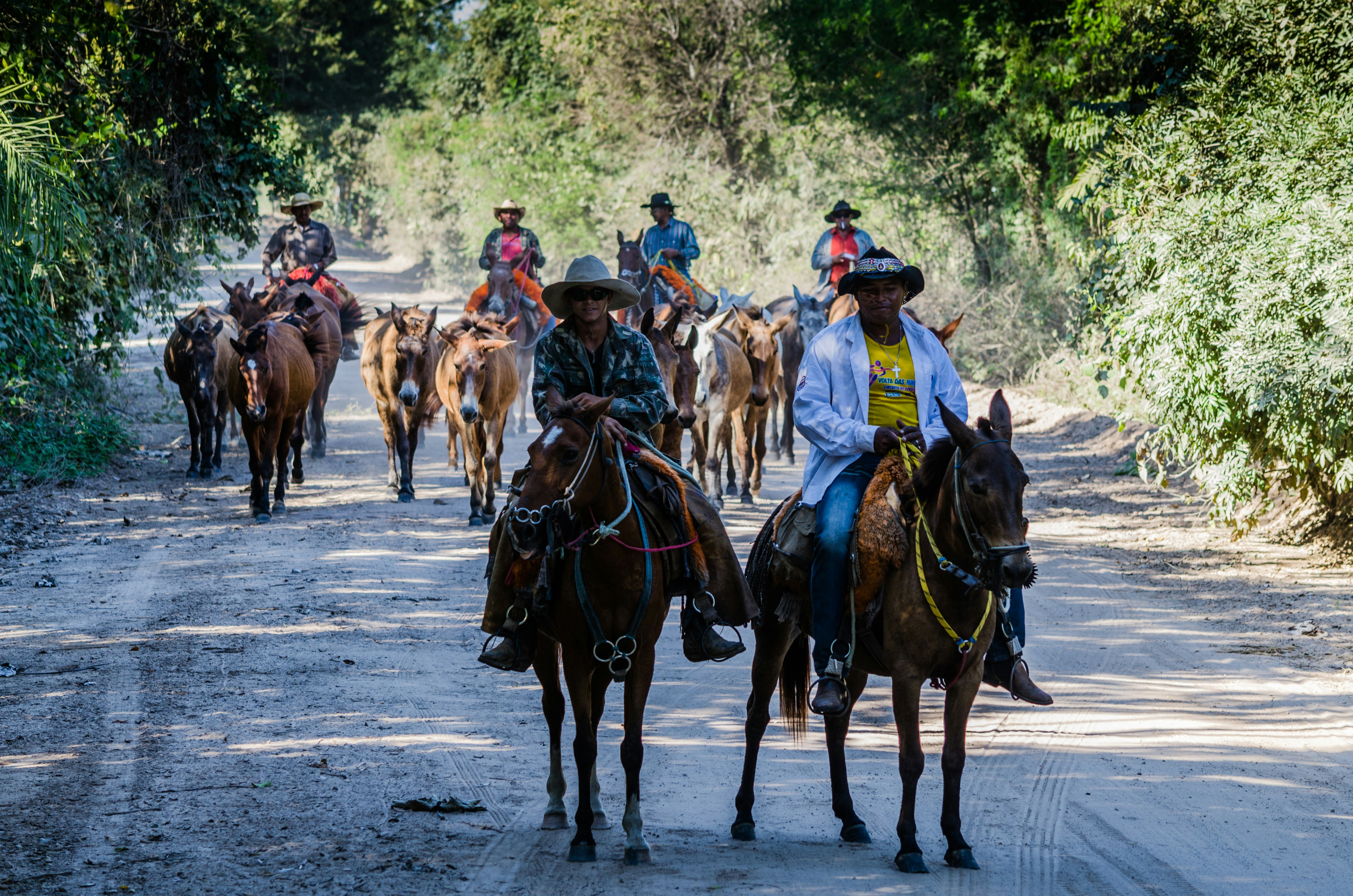 un groupe de personnes à cheval sur un chemin de terre