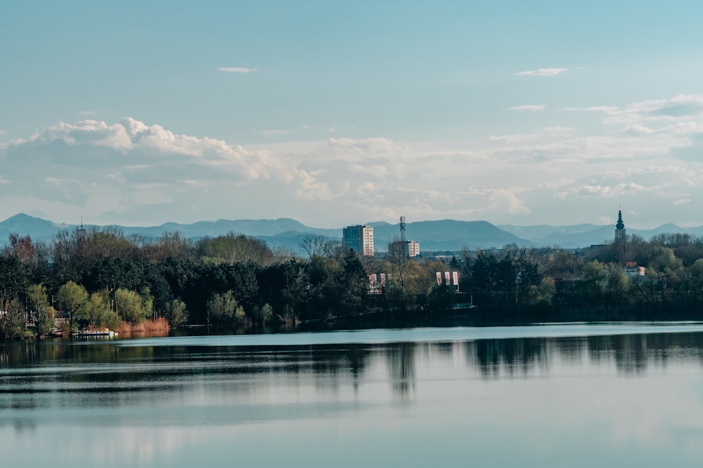 a large body of water surrounded by trees