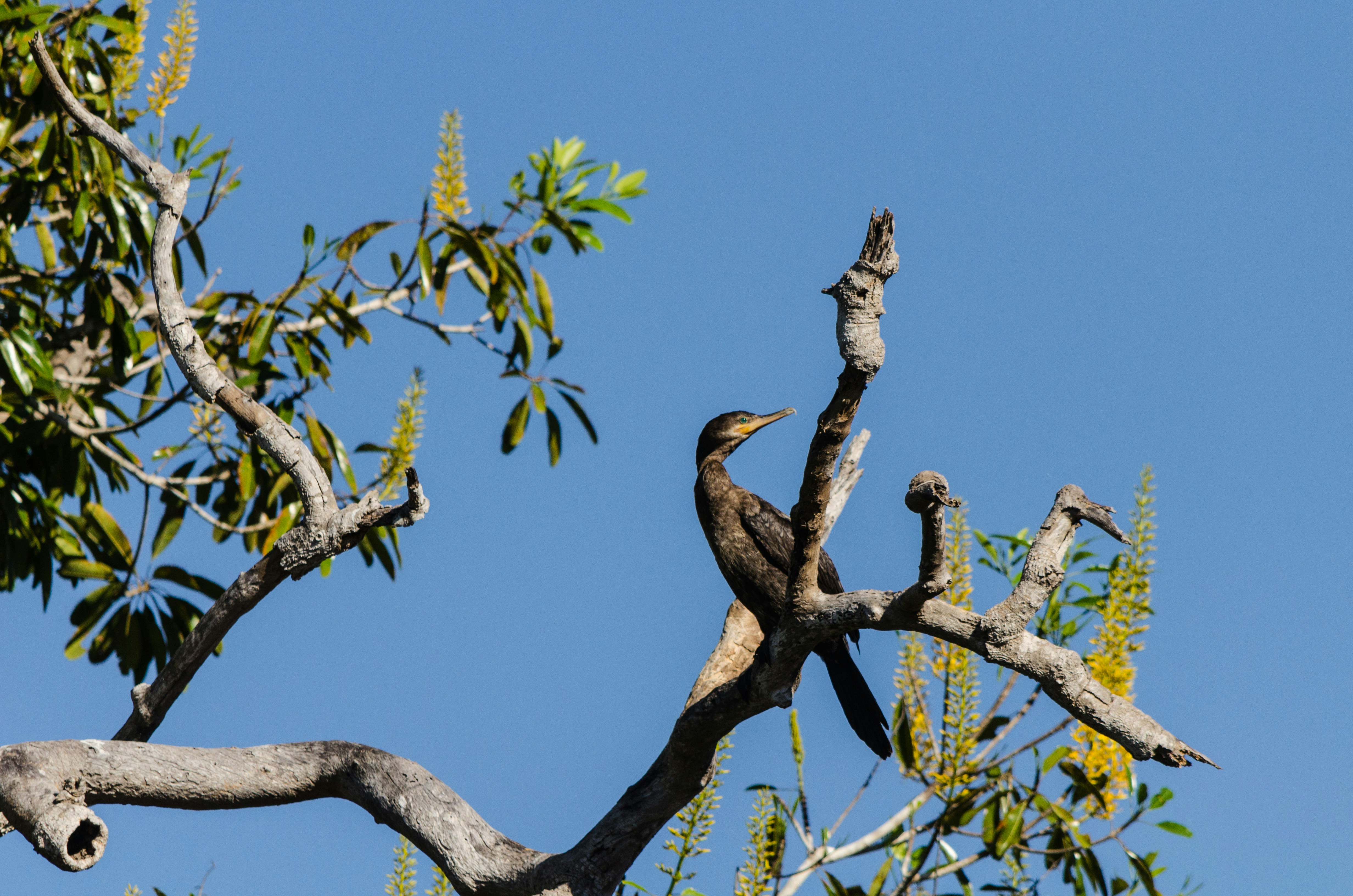 Photo by dmadventure