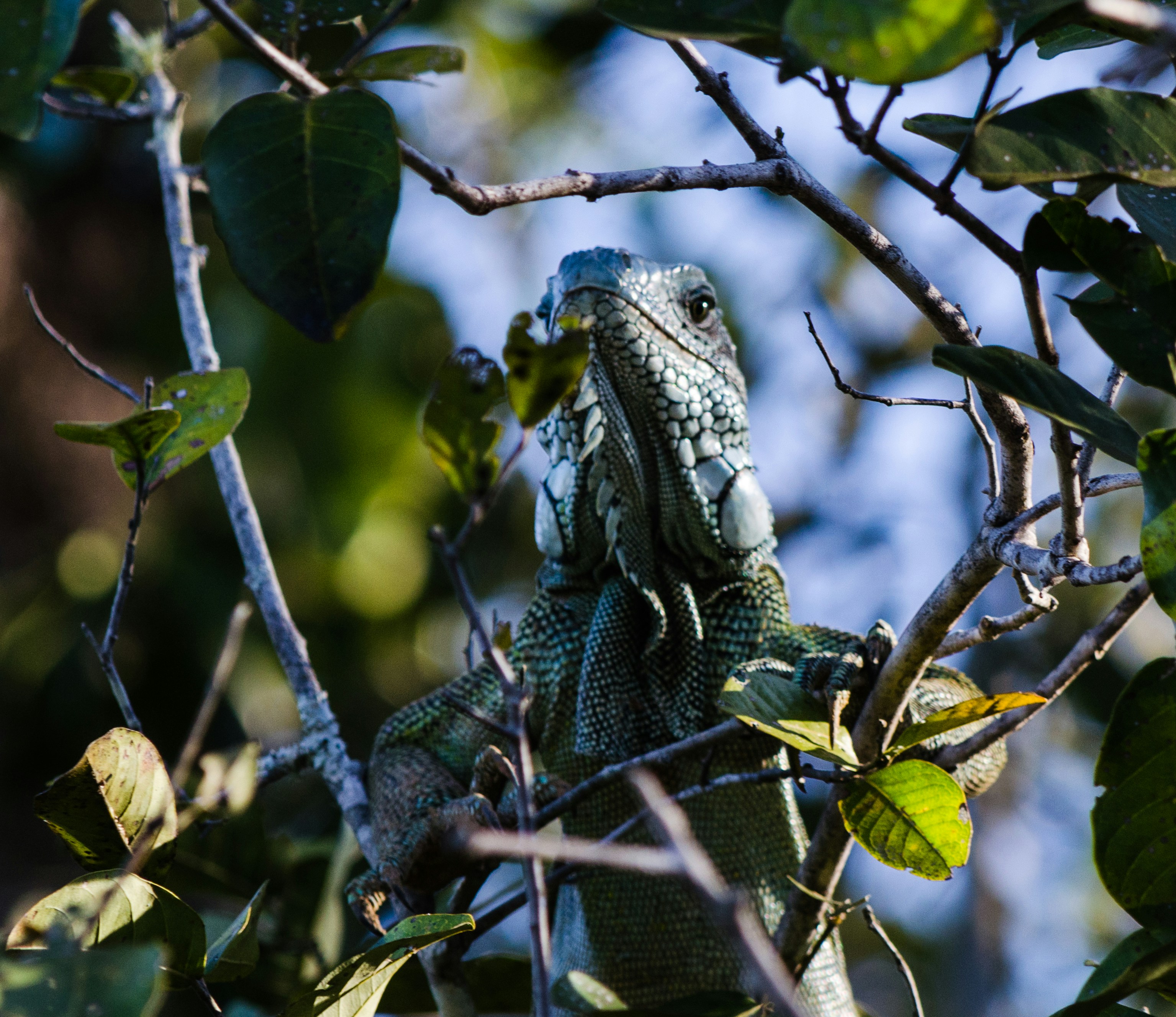 Photo by dmadventure