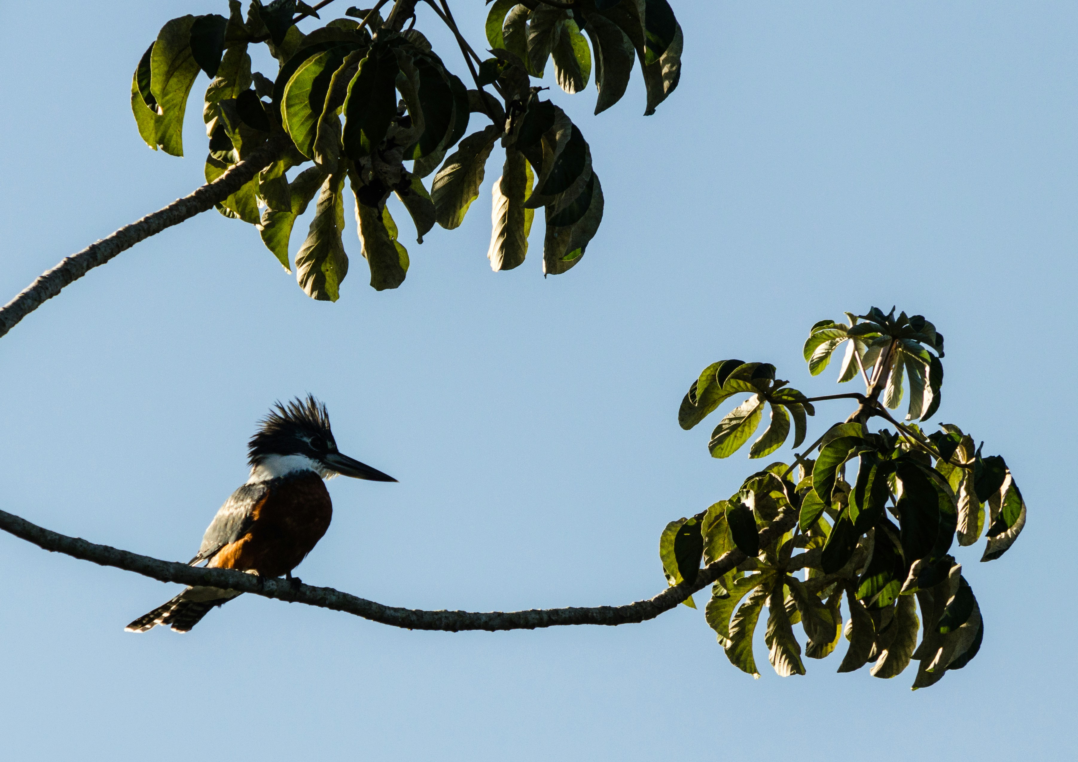 Photo by dmadventure