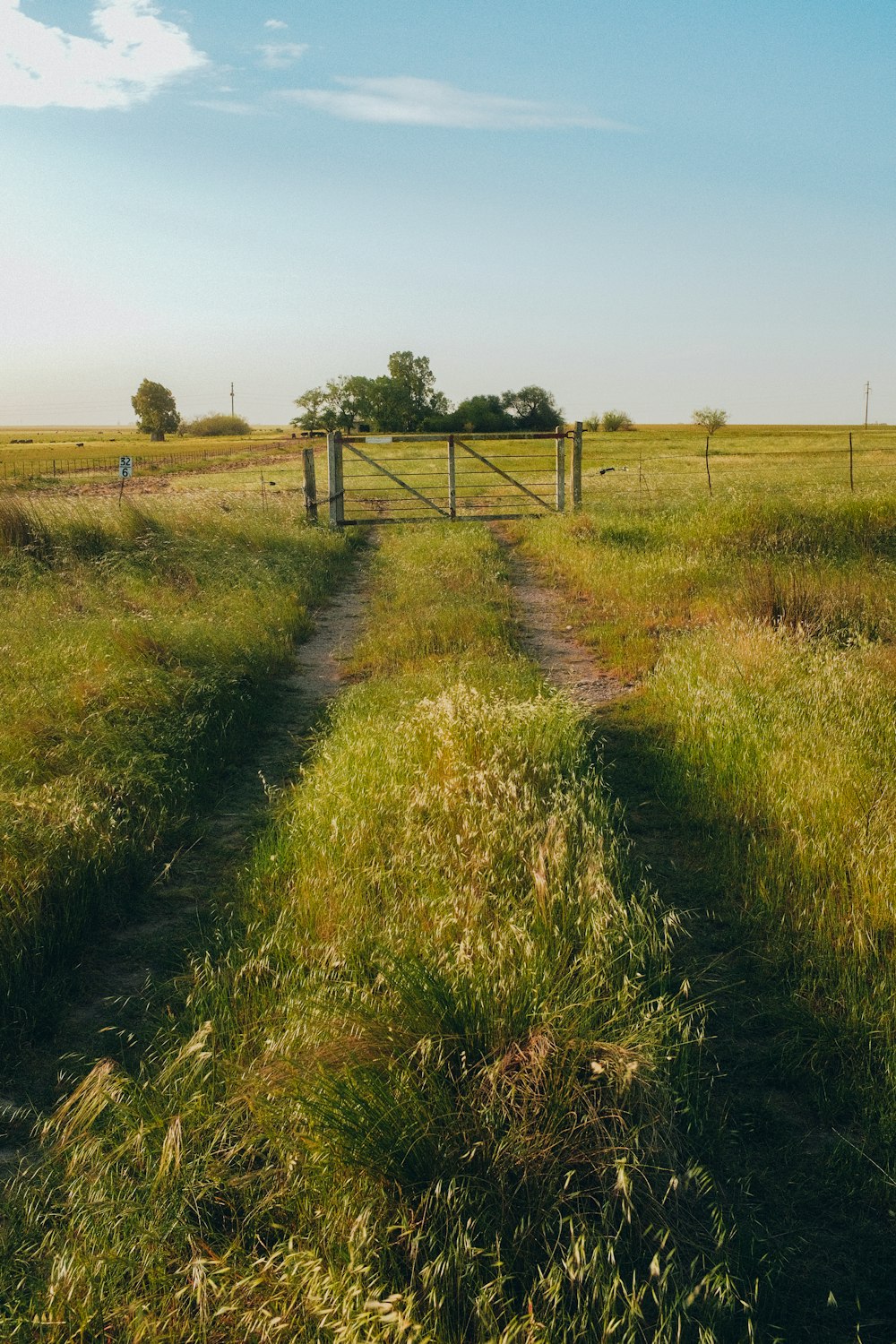 a gate in the middle of a grassy field