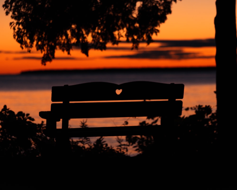 a bench sitting in front of a tree with a sunset in the background