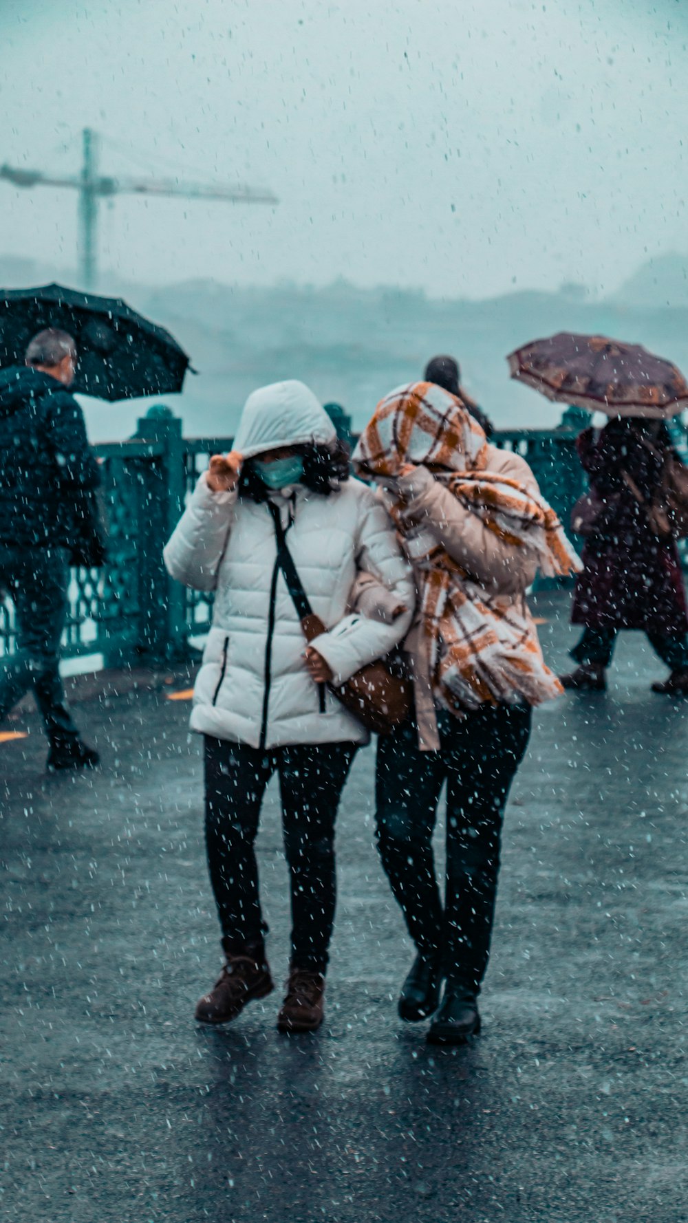 two people walking in the rain with umbrellas