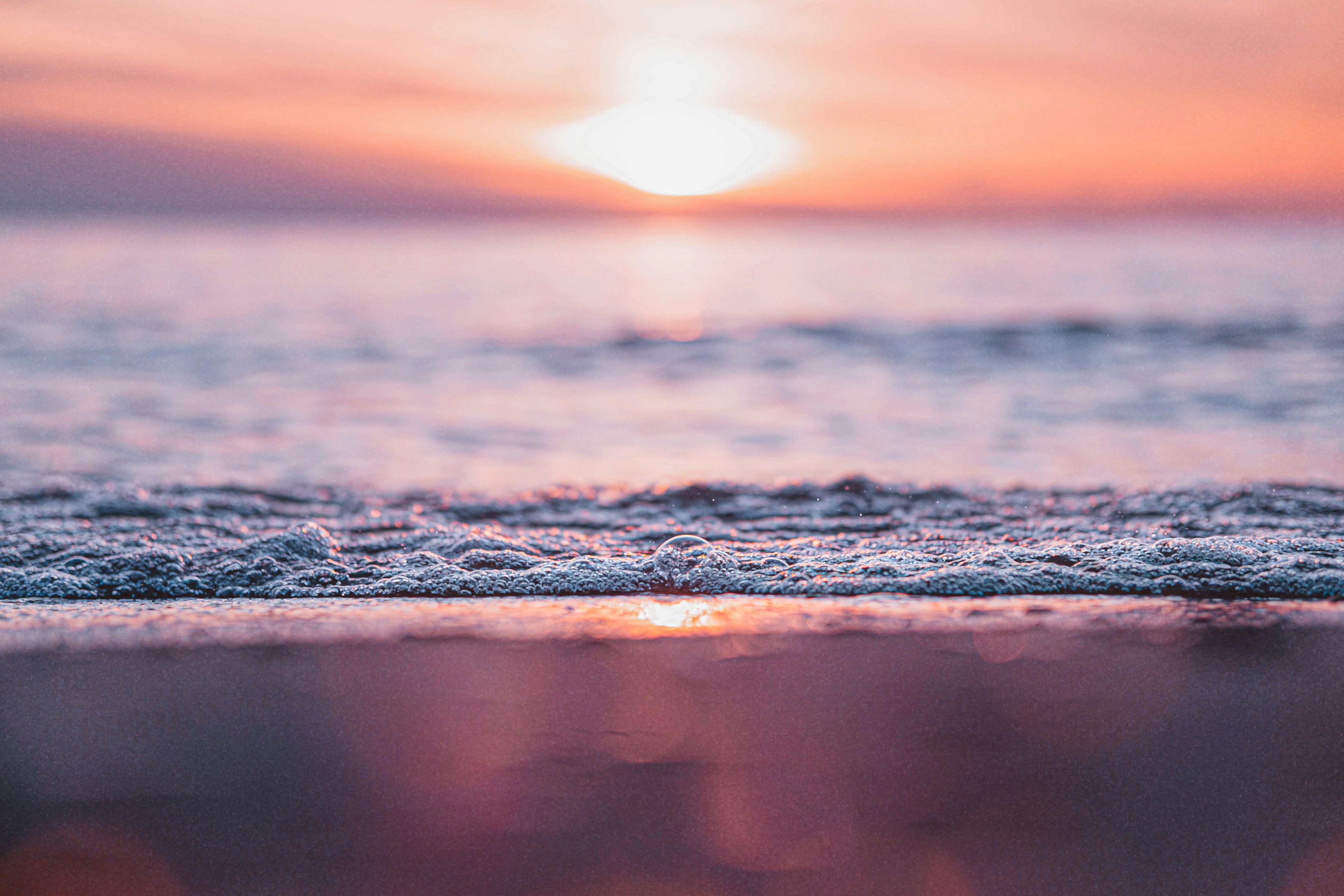 Photo by mharrisonphotography