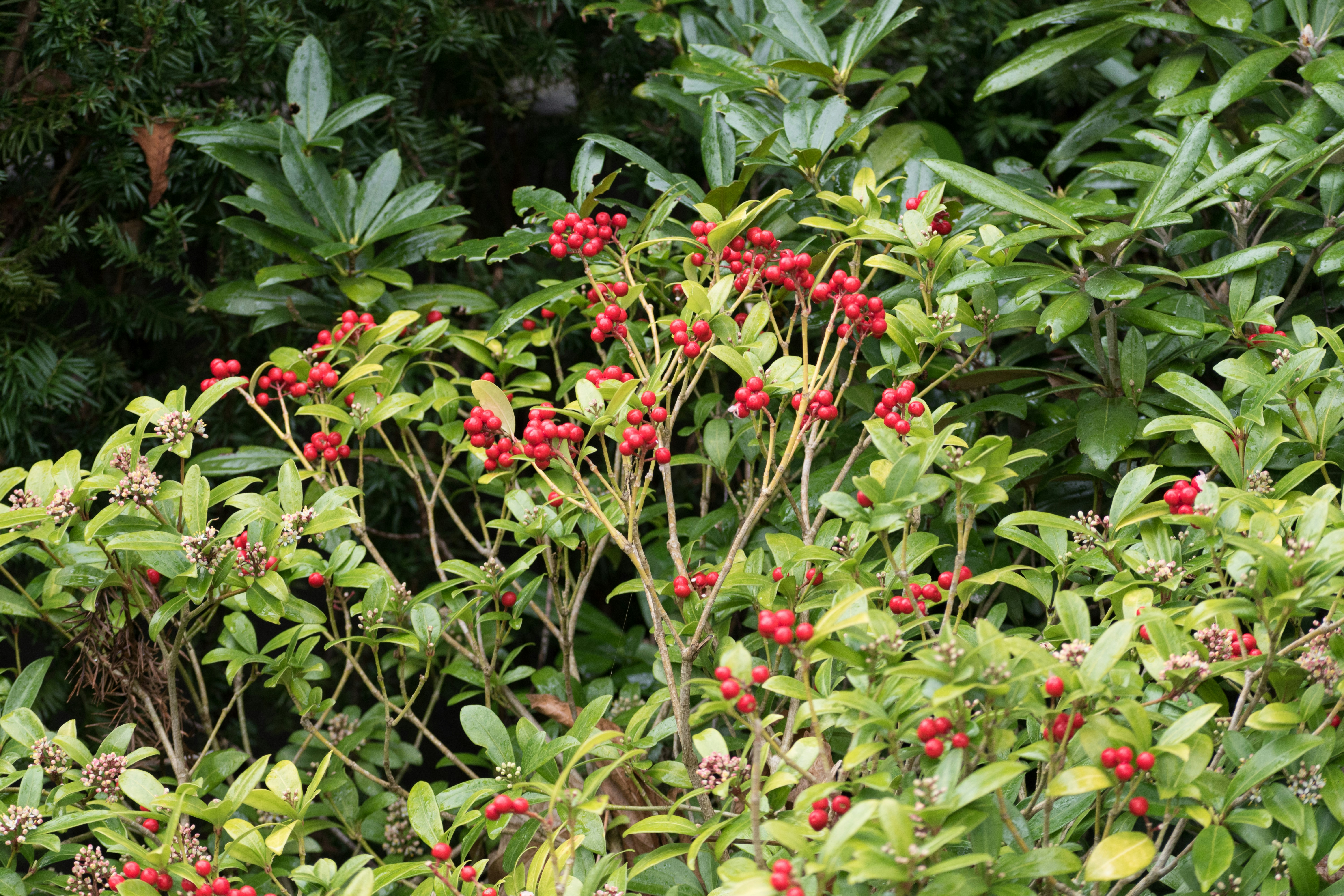 Photo by albertstoynov