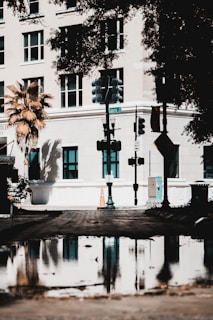 a reflection of a building in a puddle of water