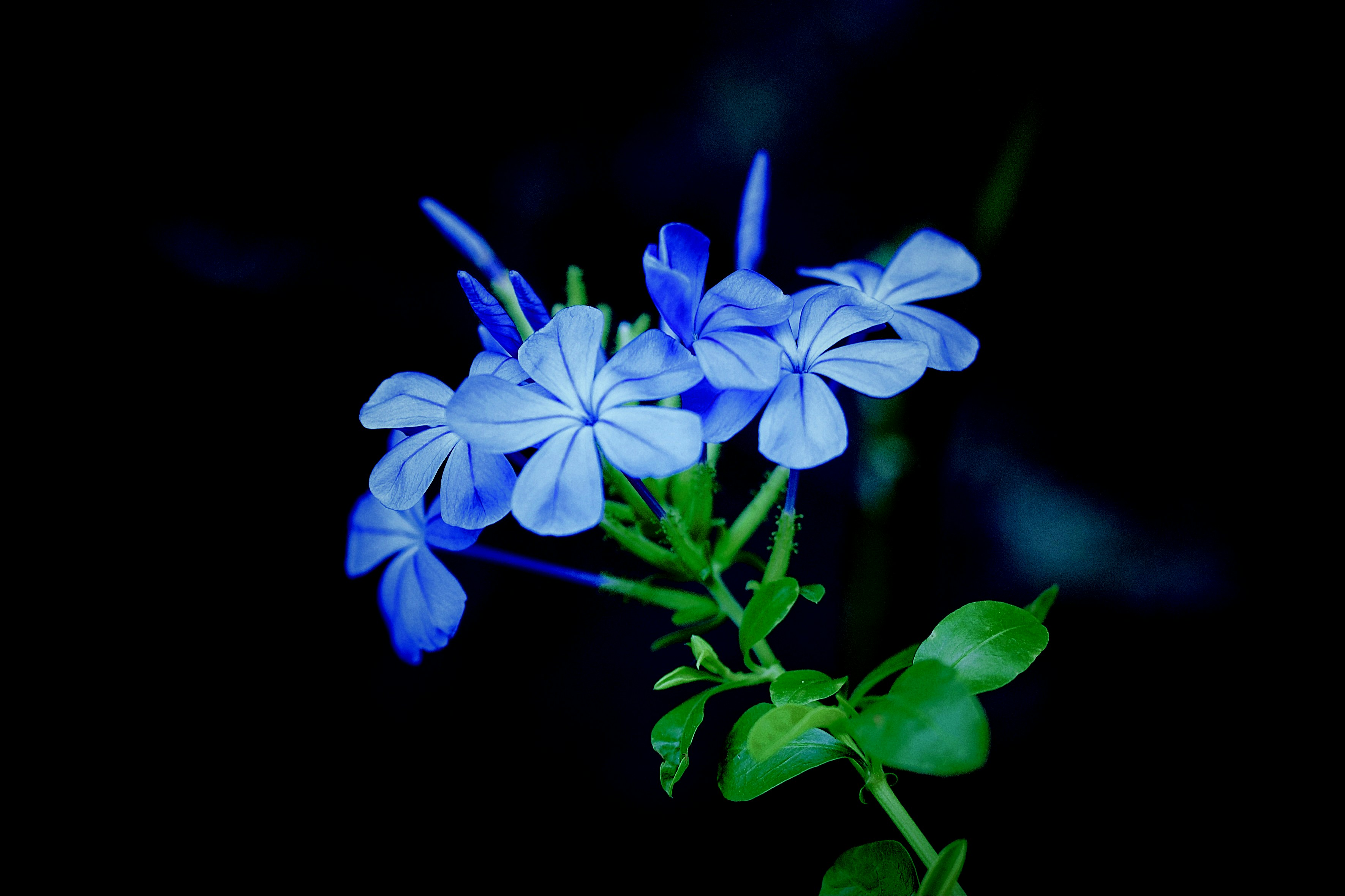 Photo by 2nd_cosmic_velocity