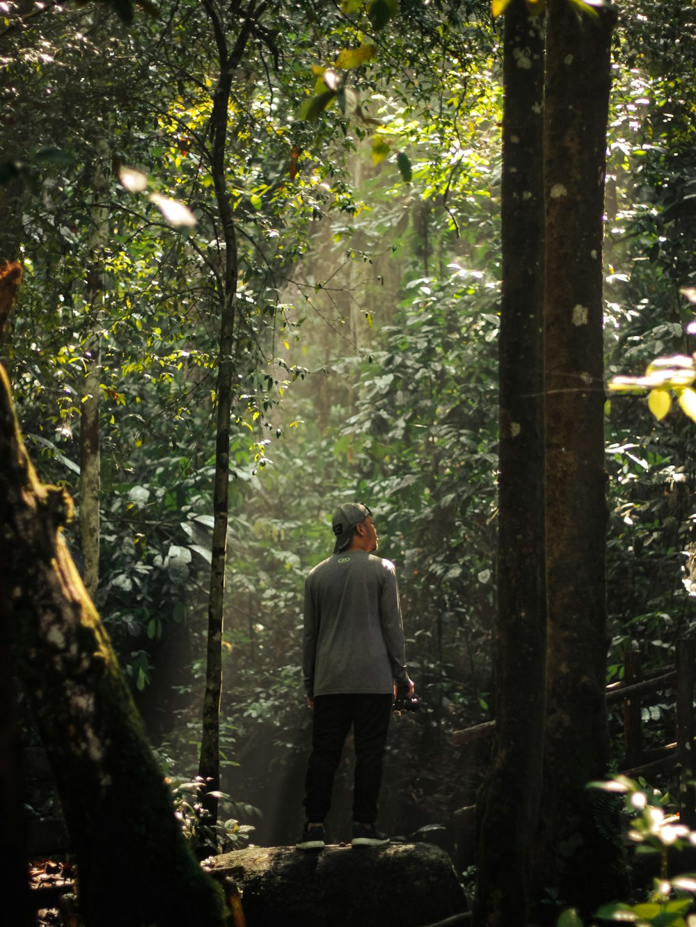 um homem de pé no meio de uma floresta