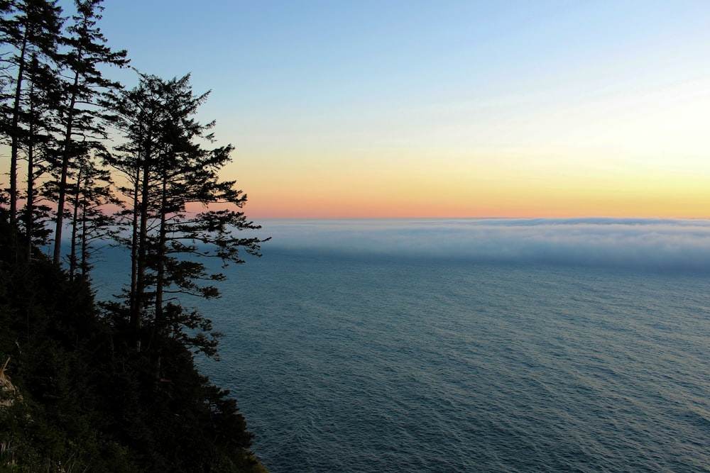 a view of the ocean from a cliff