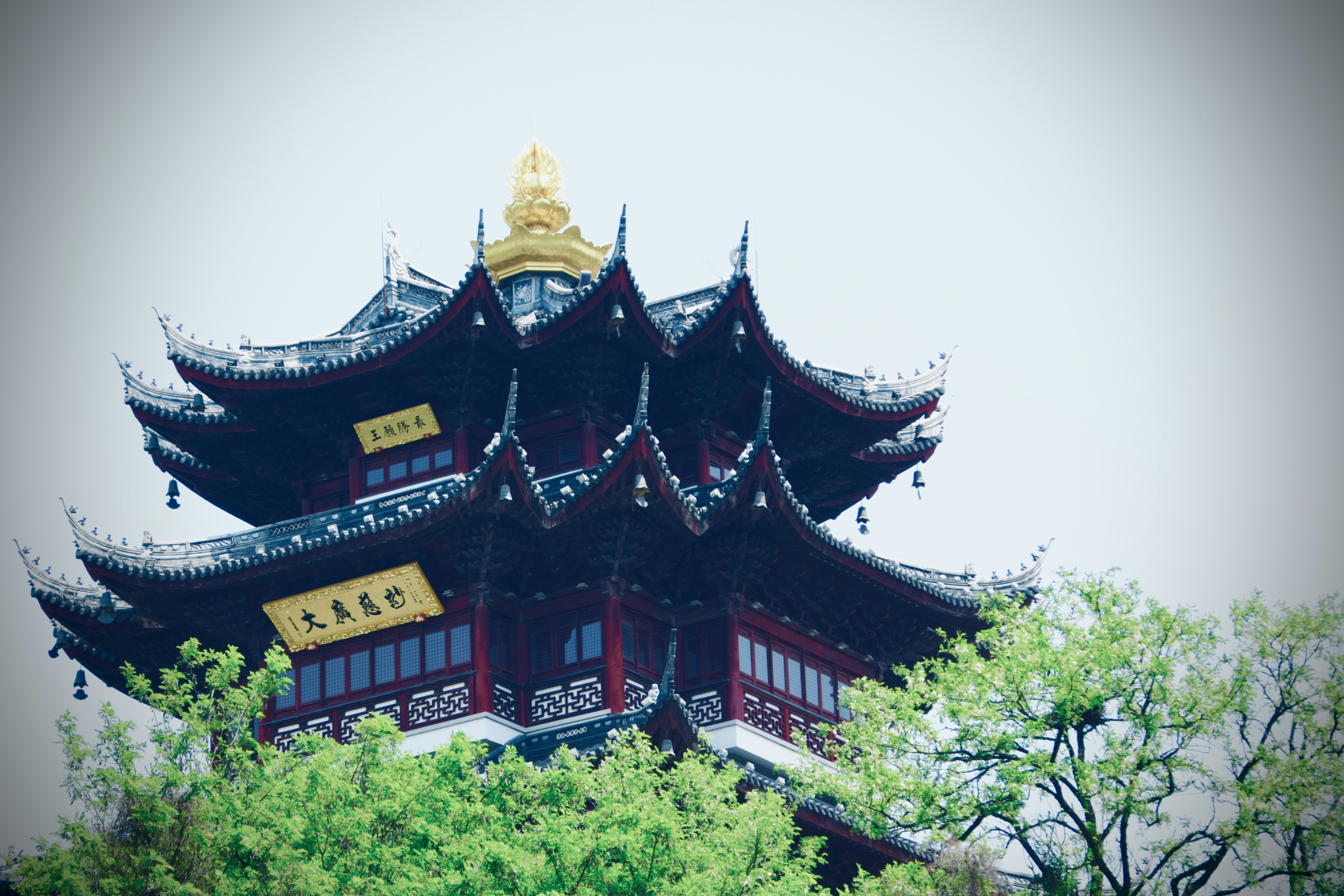 Photo by 2nd_cosmic_velocity