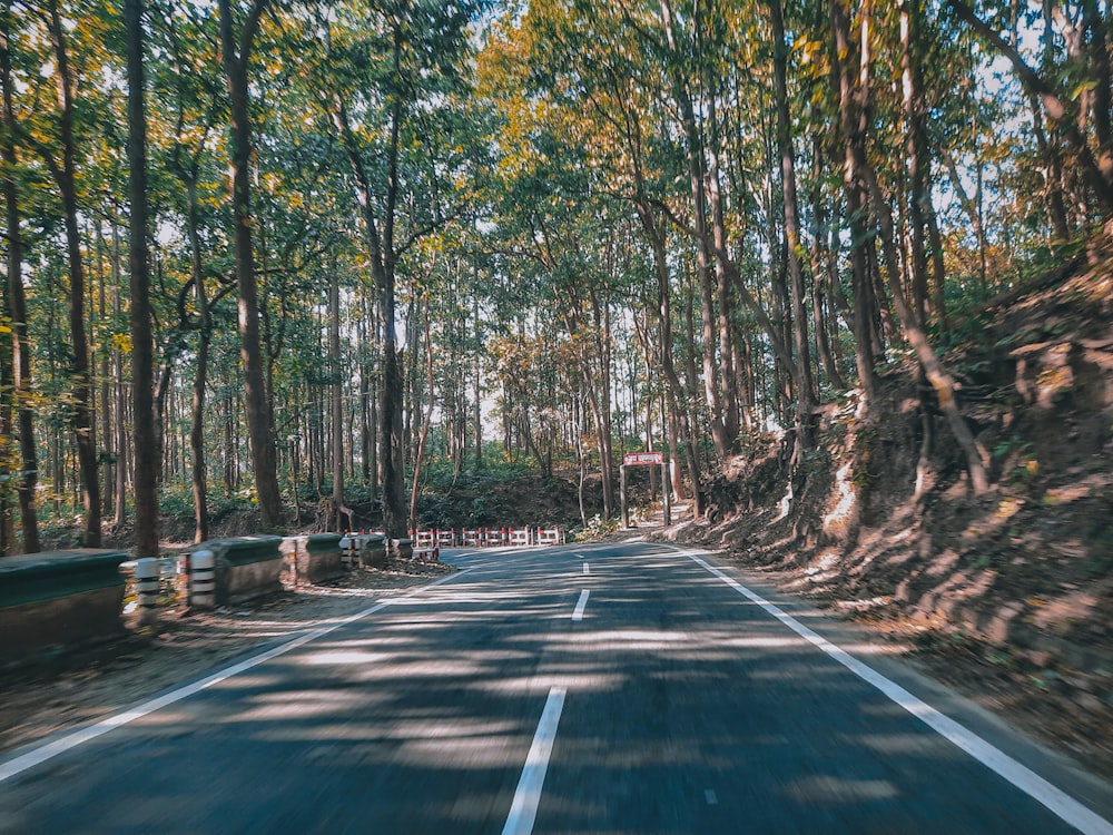 a car driving down a road surrounded by trees