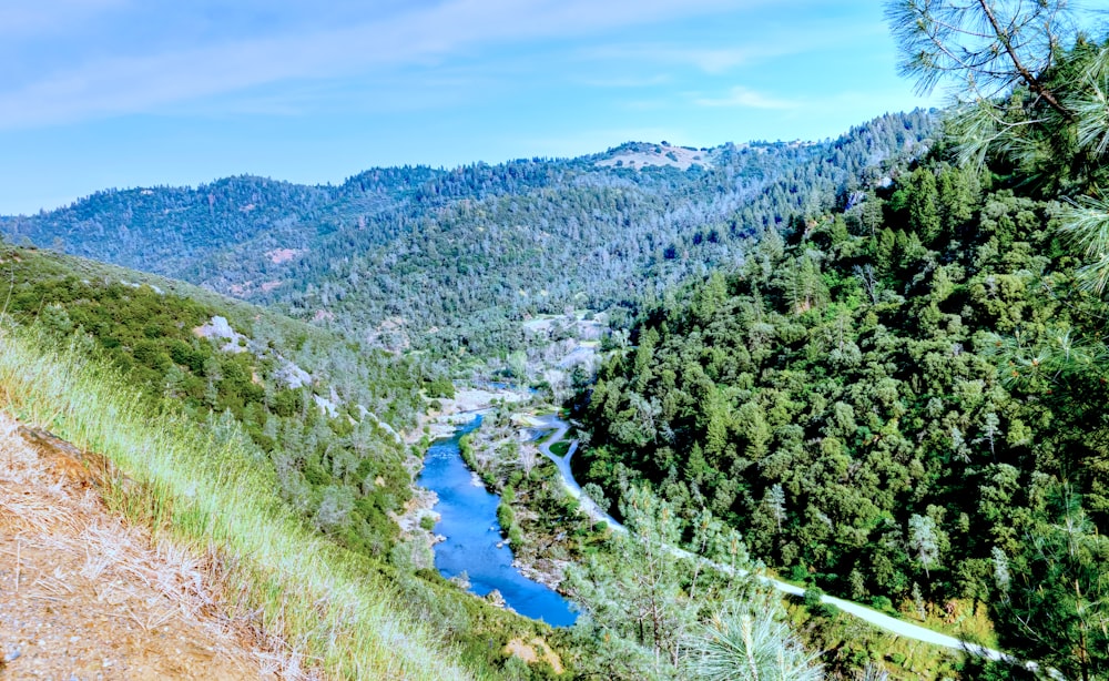 a scenic view of a river surrounded by trees