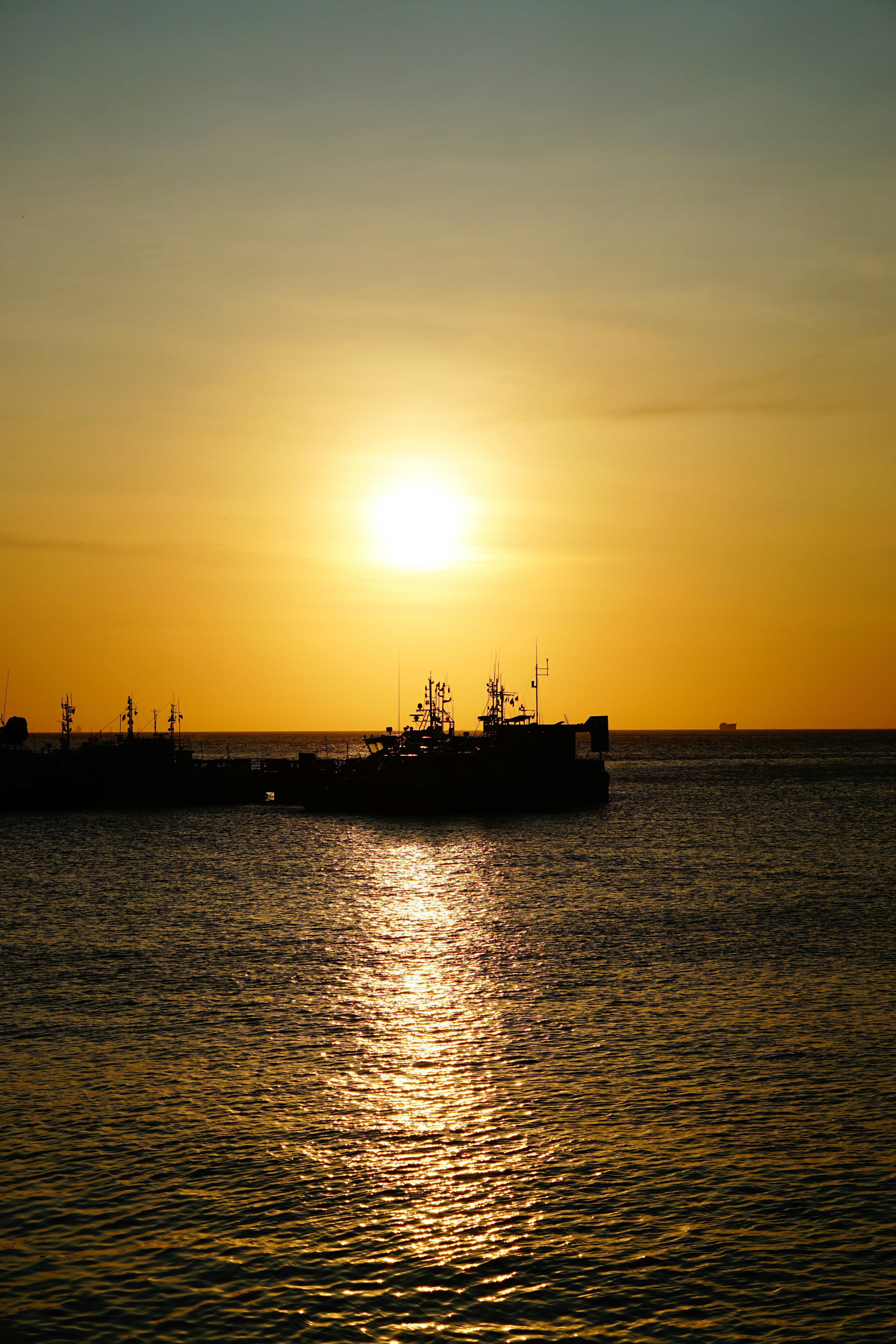 Photo by tex_forteetoo