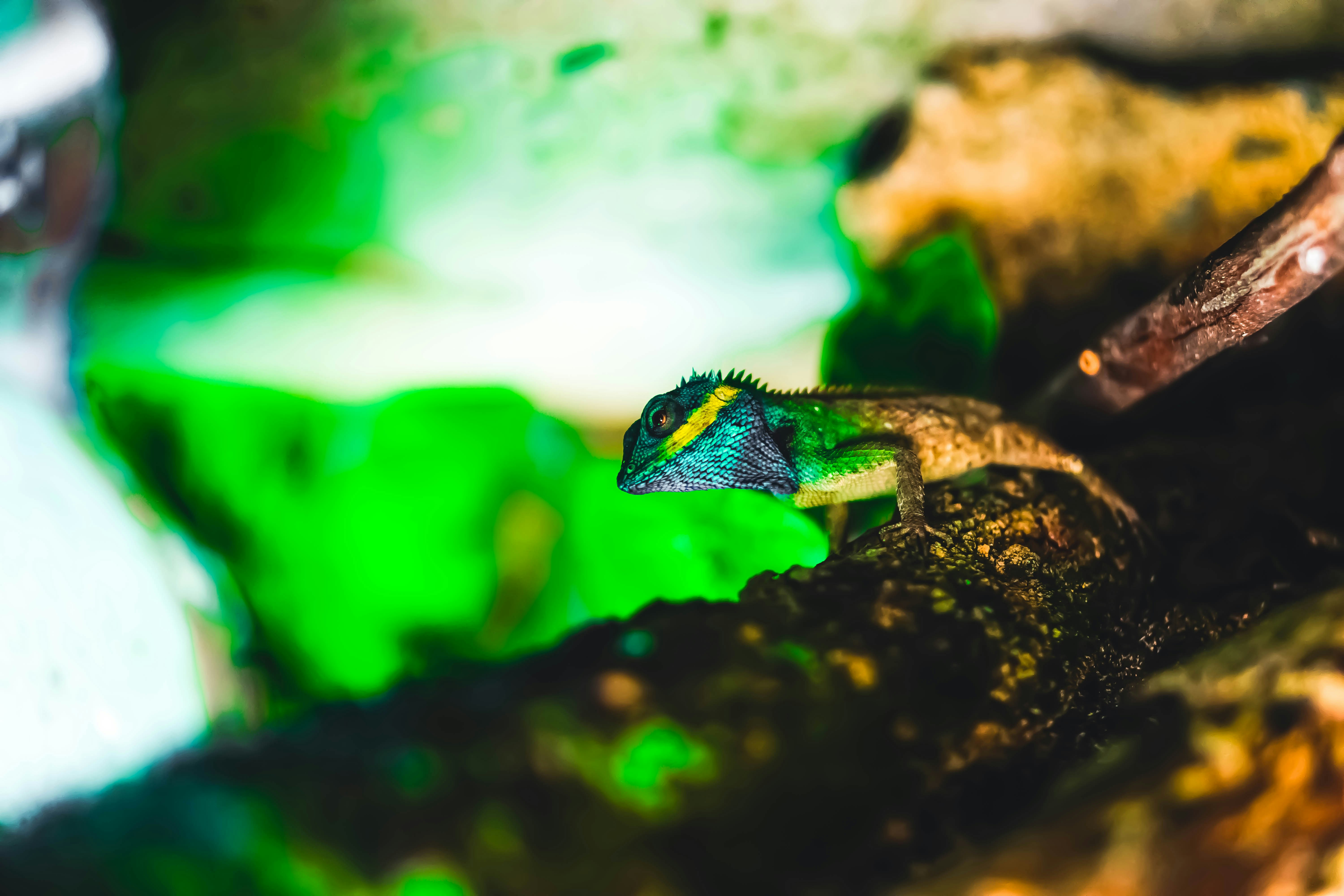 Photo by tex_forteetoo