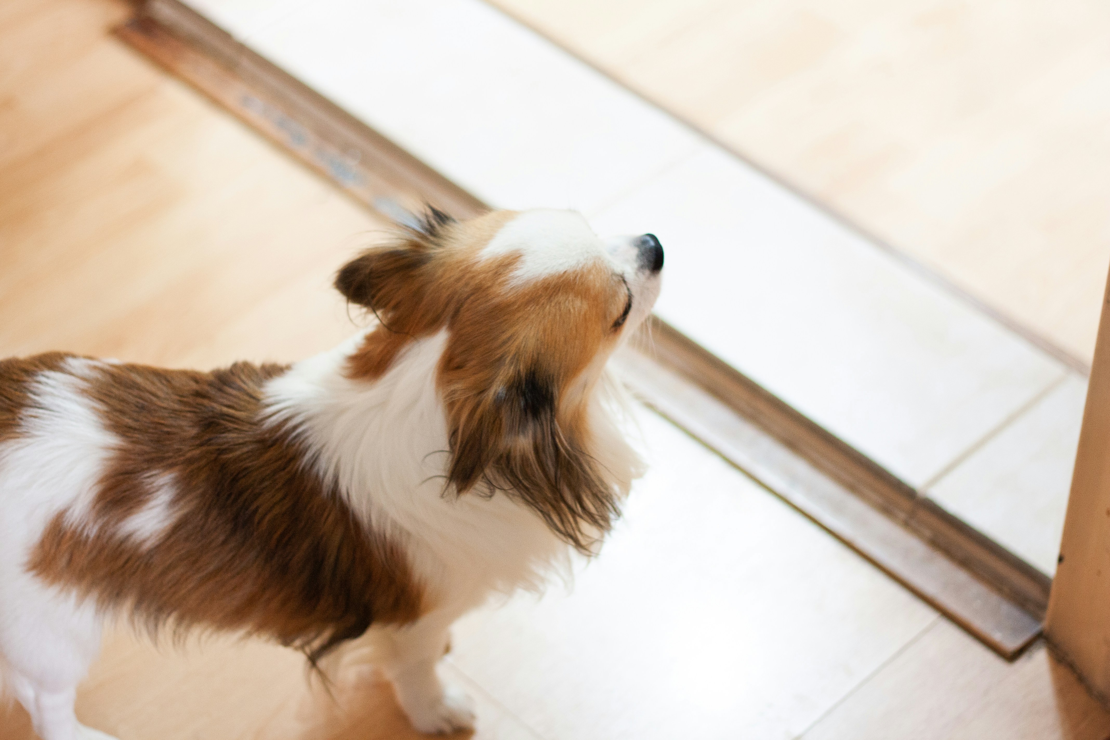 Mobility Confidence: A Key to Quality of Life