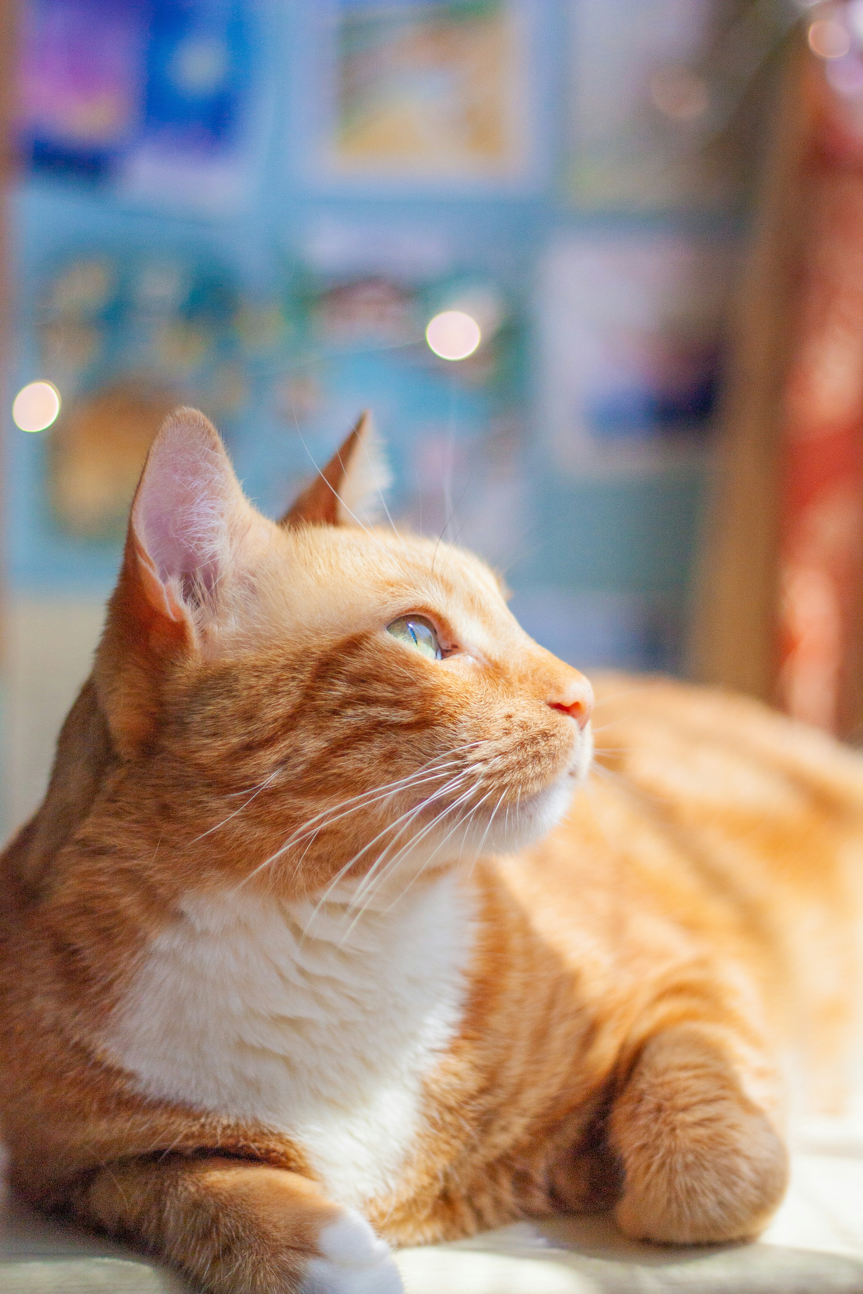 Photo by lydiakphotography