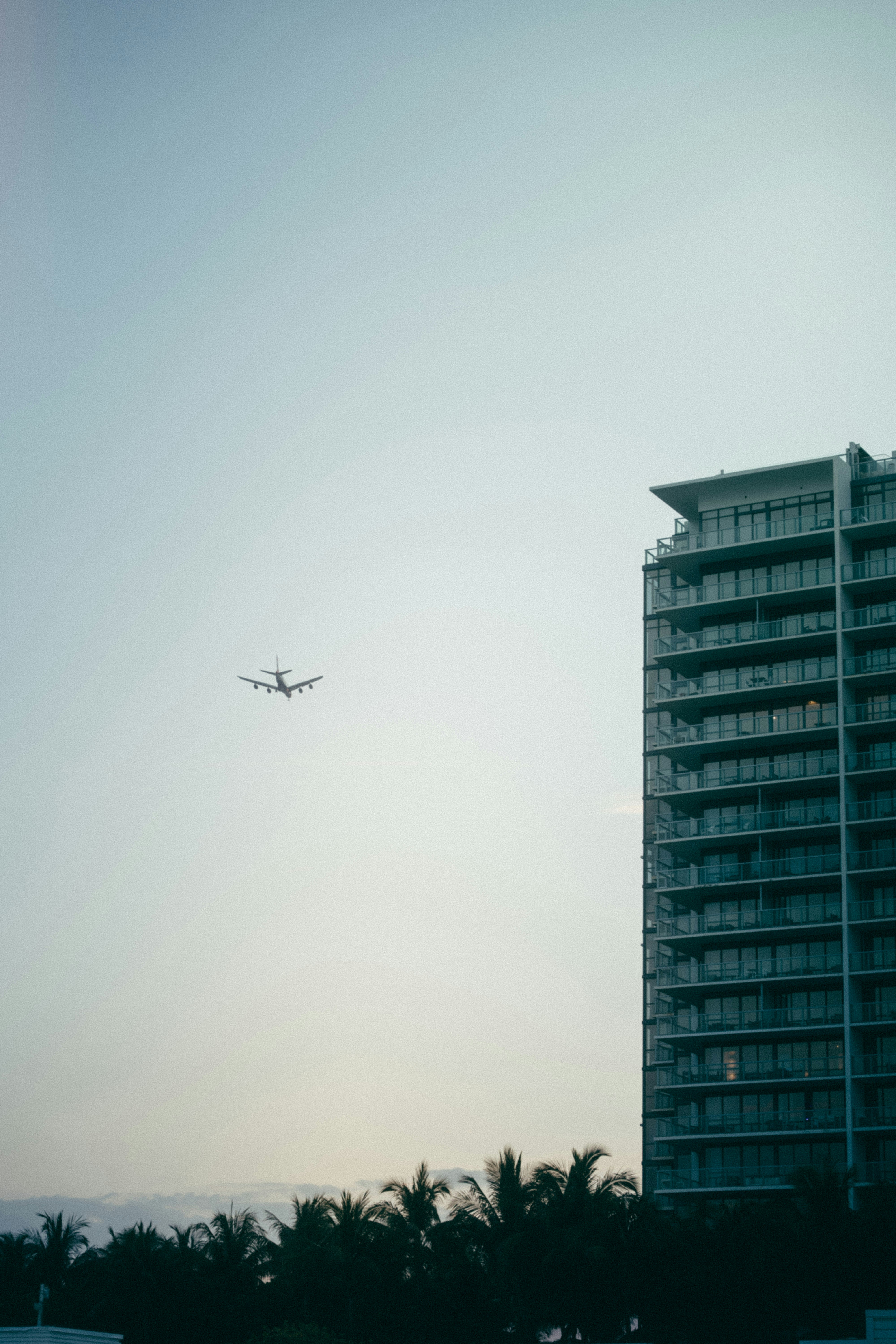 Photo by josefigueroa_mov