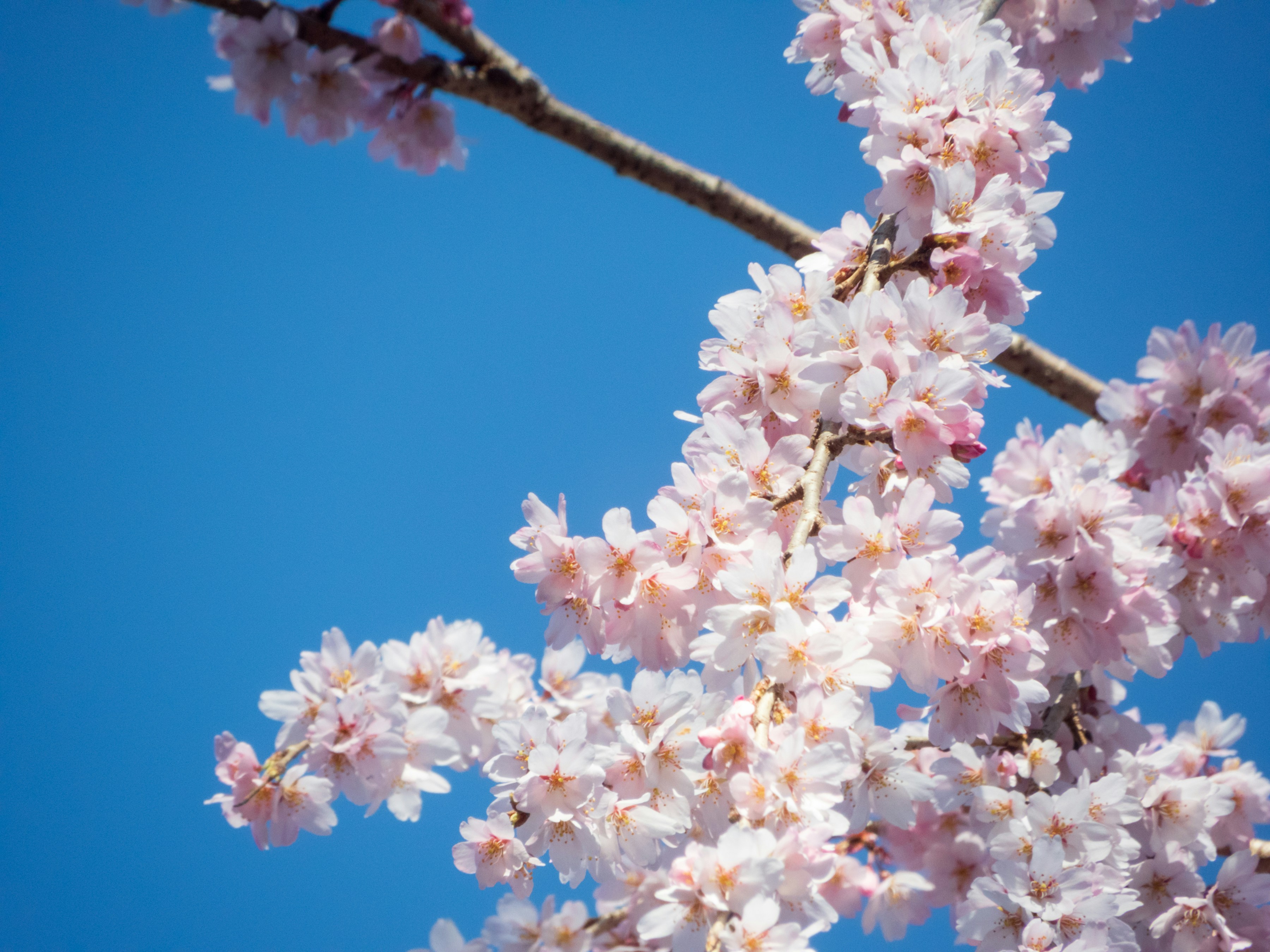 Photo by heppoko_yama