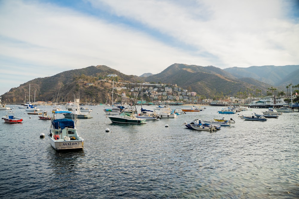 a group of boats floating on top of a body of water