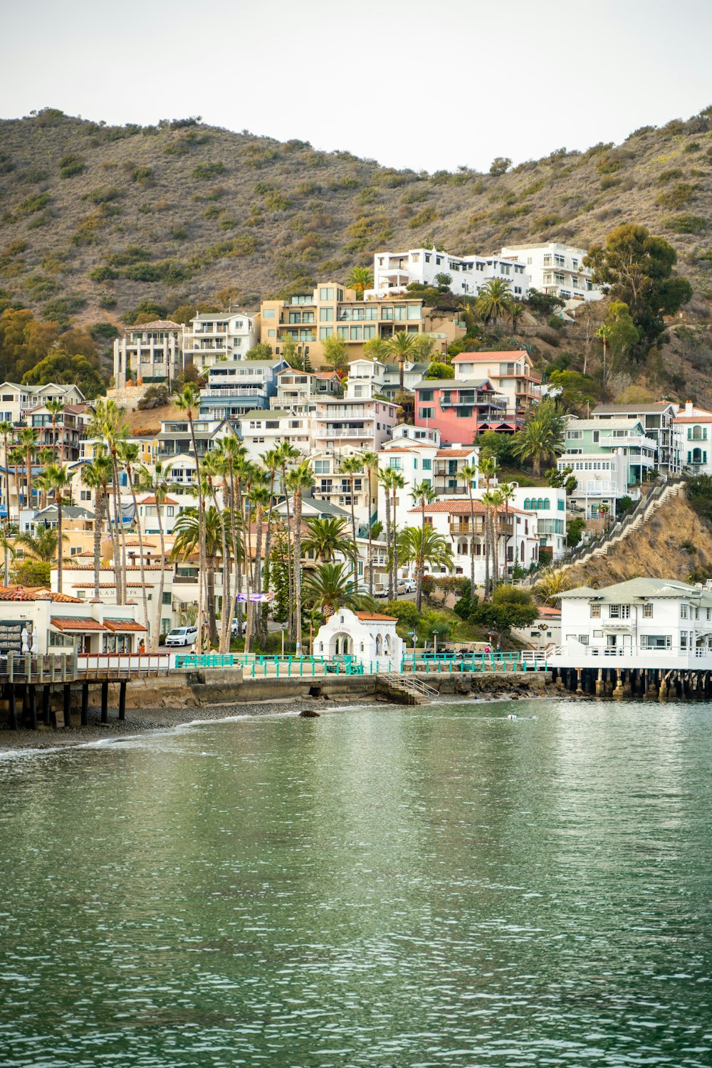 a large body of water with houses on a hill in the background