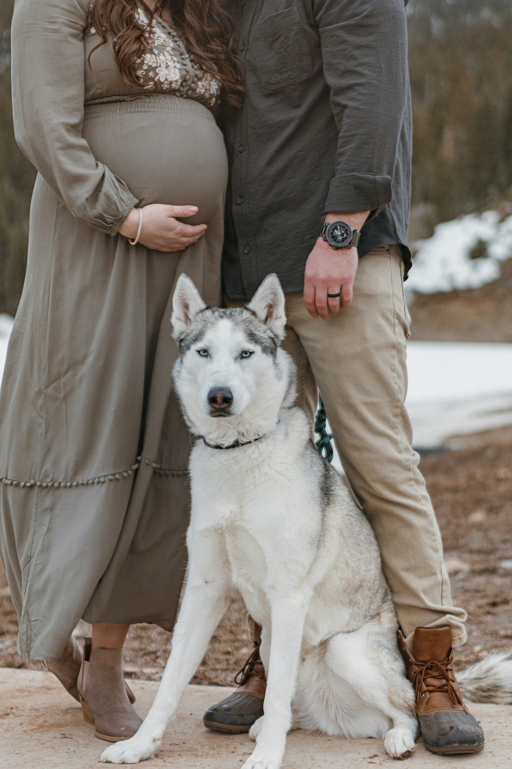 a pregnant couple and their dog pose for a picture