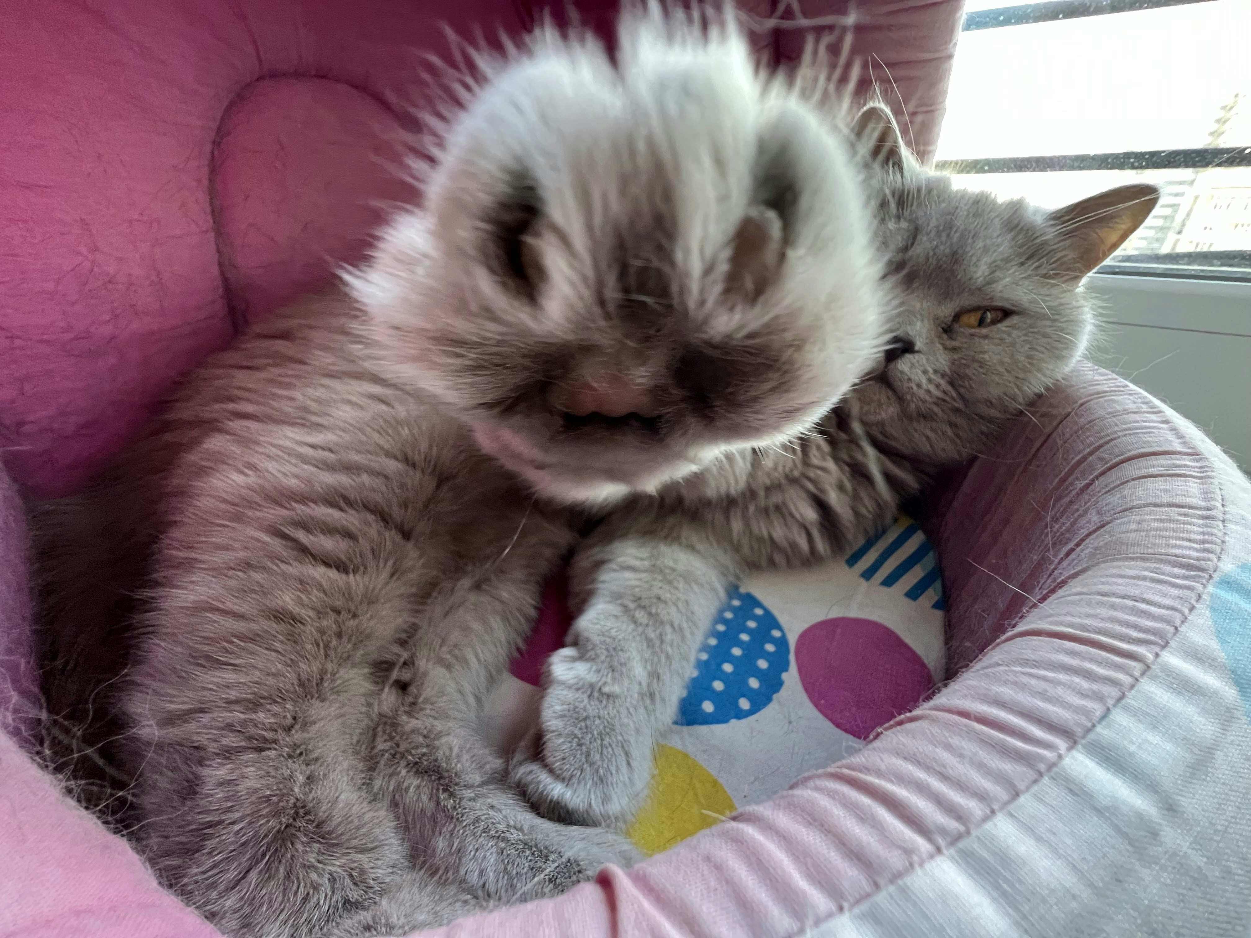 둘째 출산 후 더 심해진 건망증 원인 3