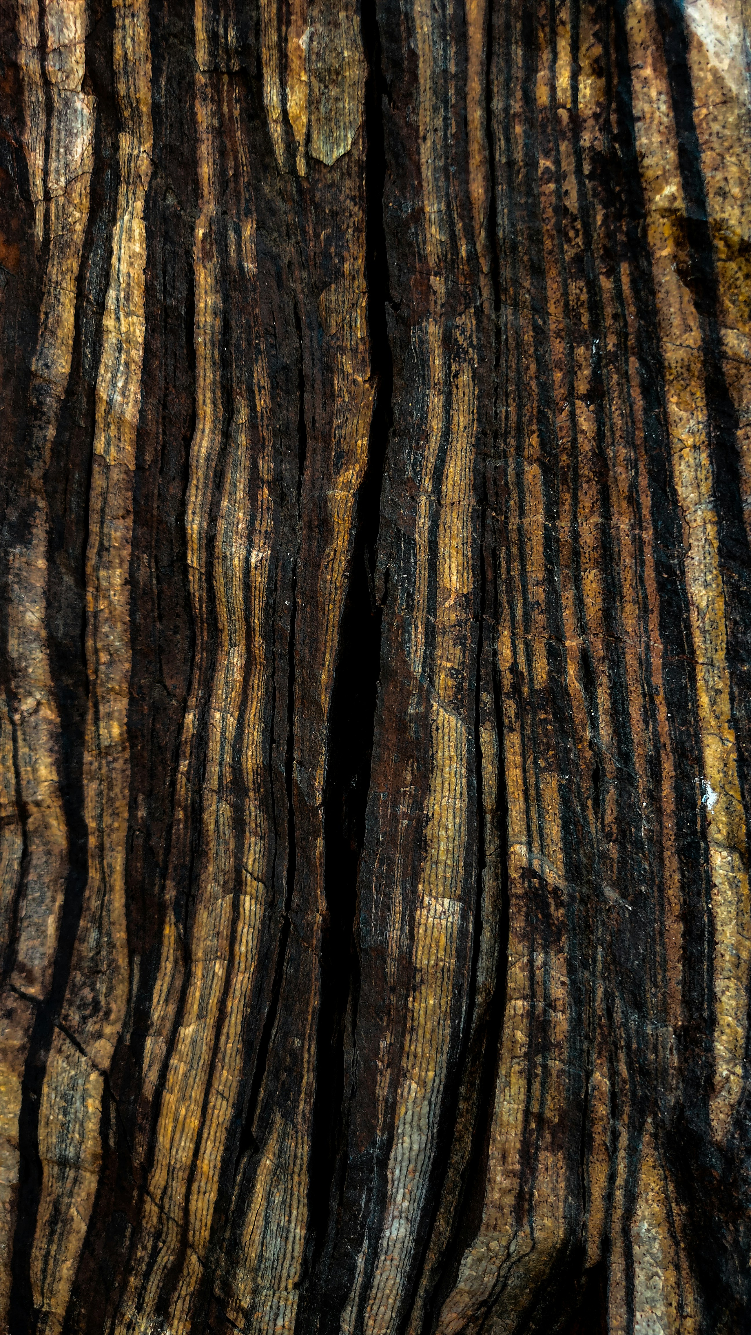 Photo by aditya_ghodke