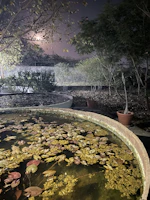 Ornamental pond with automated water features and ambient lighting at dusk.