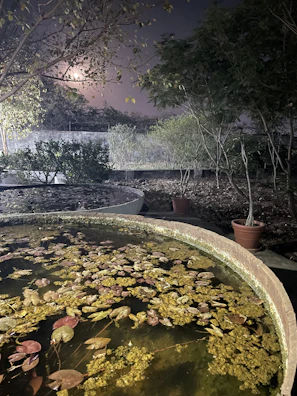 Ornamental pond with automated water features and ambient lighting at dusk.