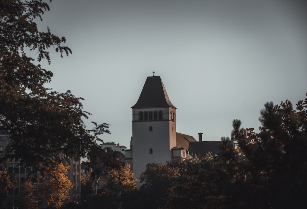 a clock tower is seen through the trees