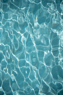 the water is reflecting the sunlight on the surface