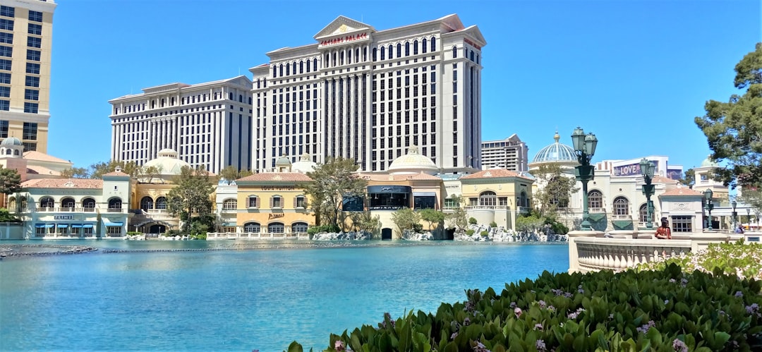 Rick Harrison Slams Insane Vegas Prices Blames COVID Hangover - Wha… — Rick Harrison Slams Insane Vegas Prices