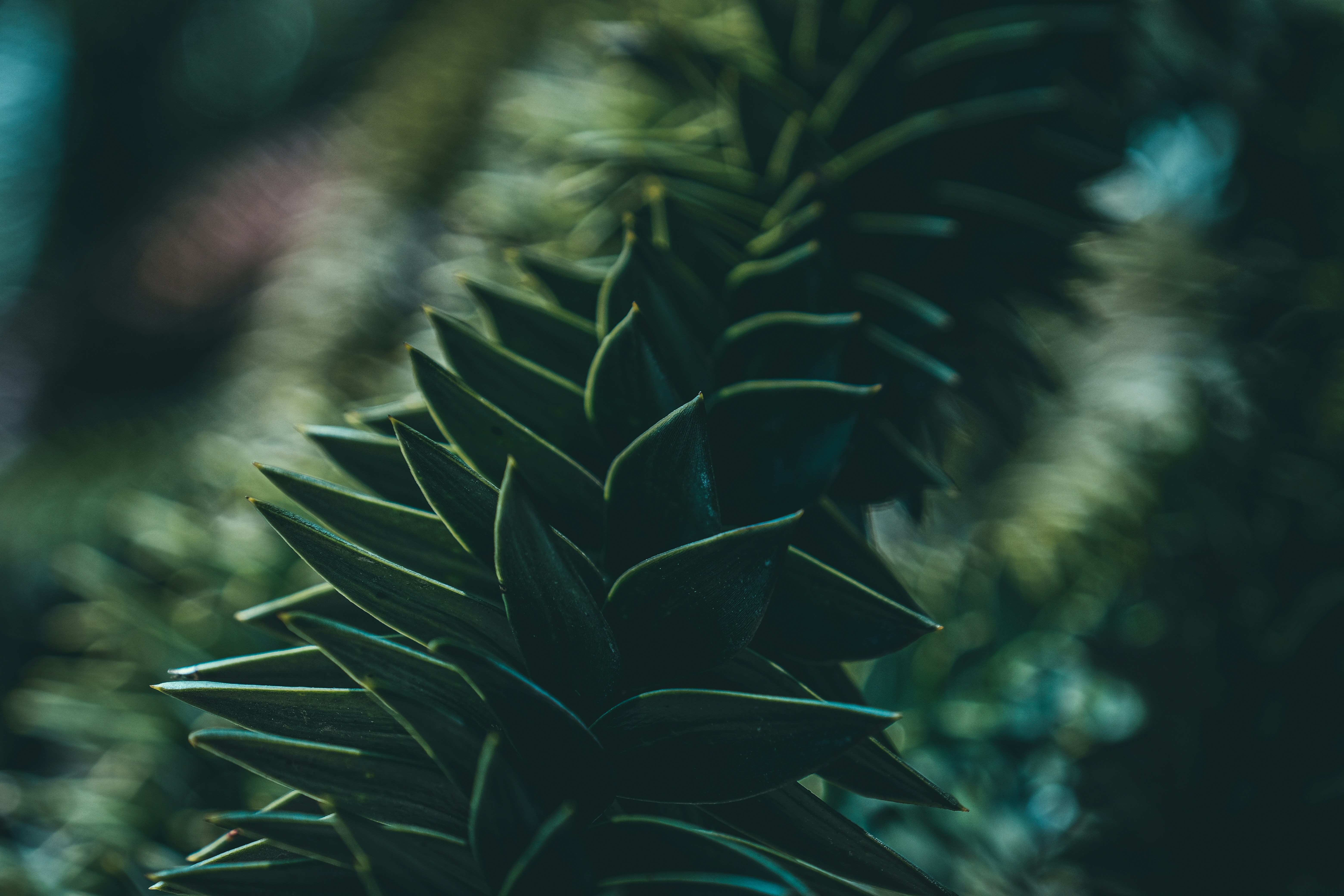 Photo by francesco_ungaro