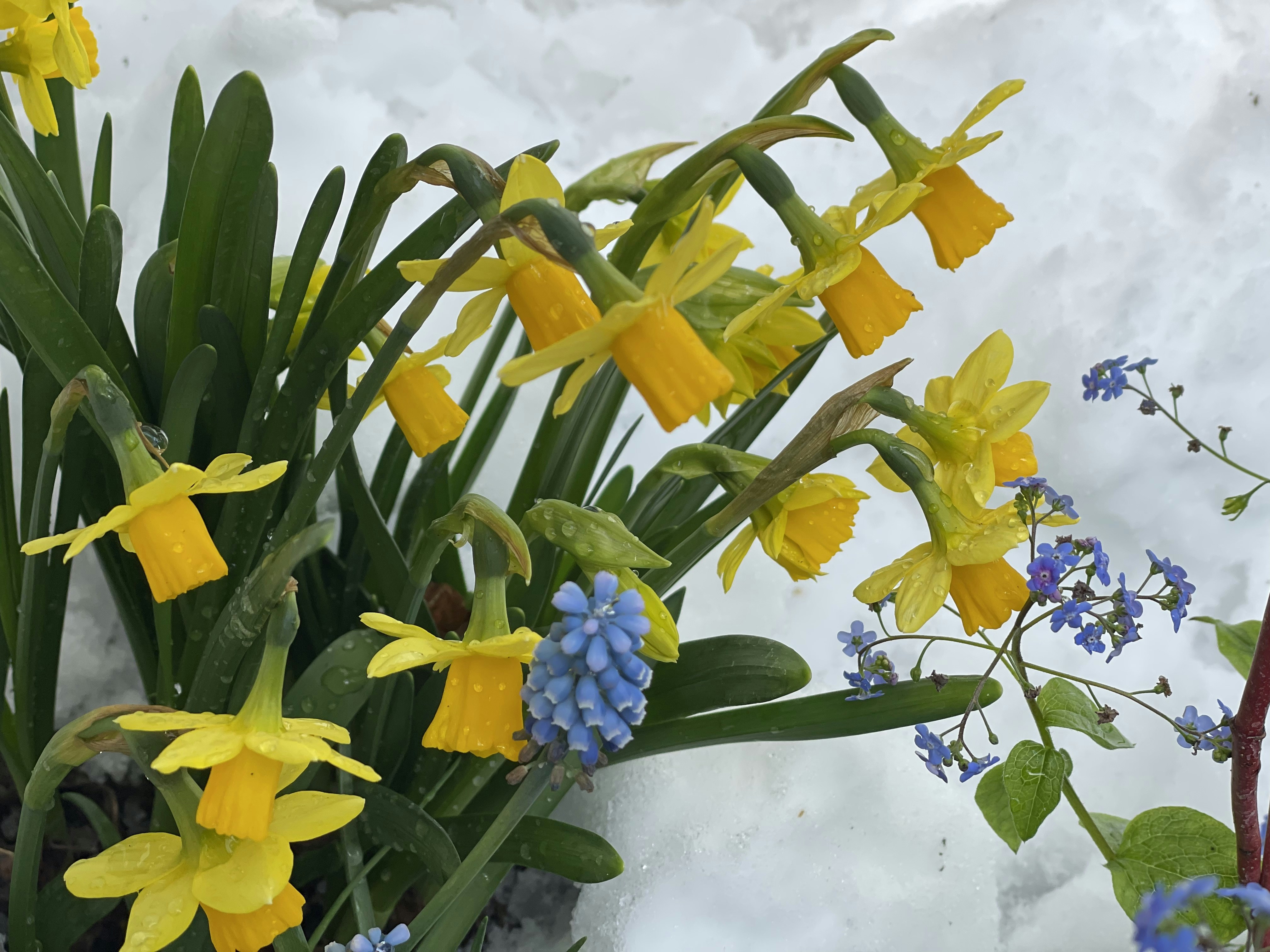 春のイベント 衣替え関連画像(1)