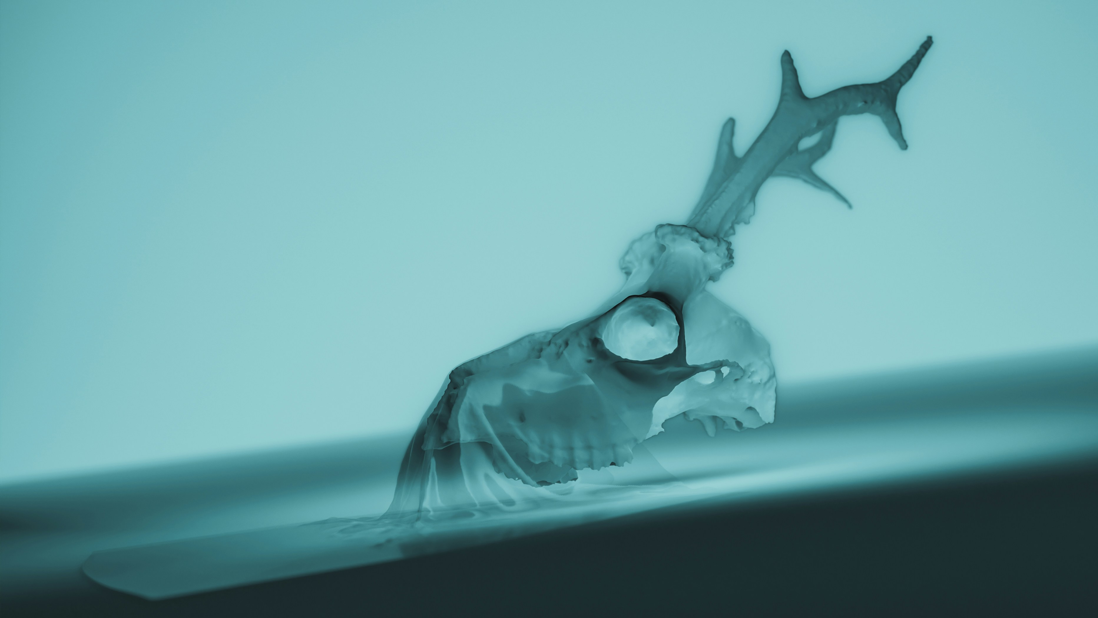 Photo by marekpiwnicki