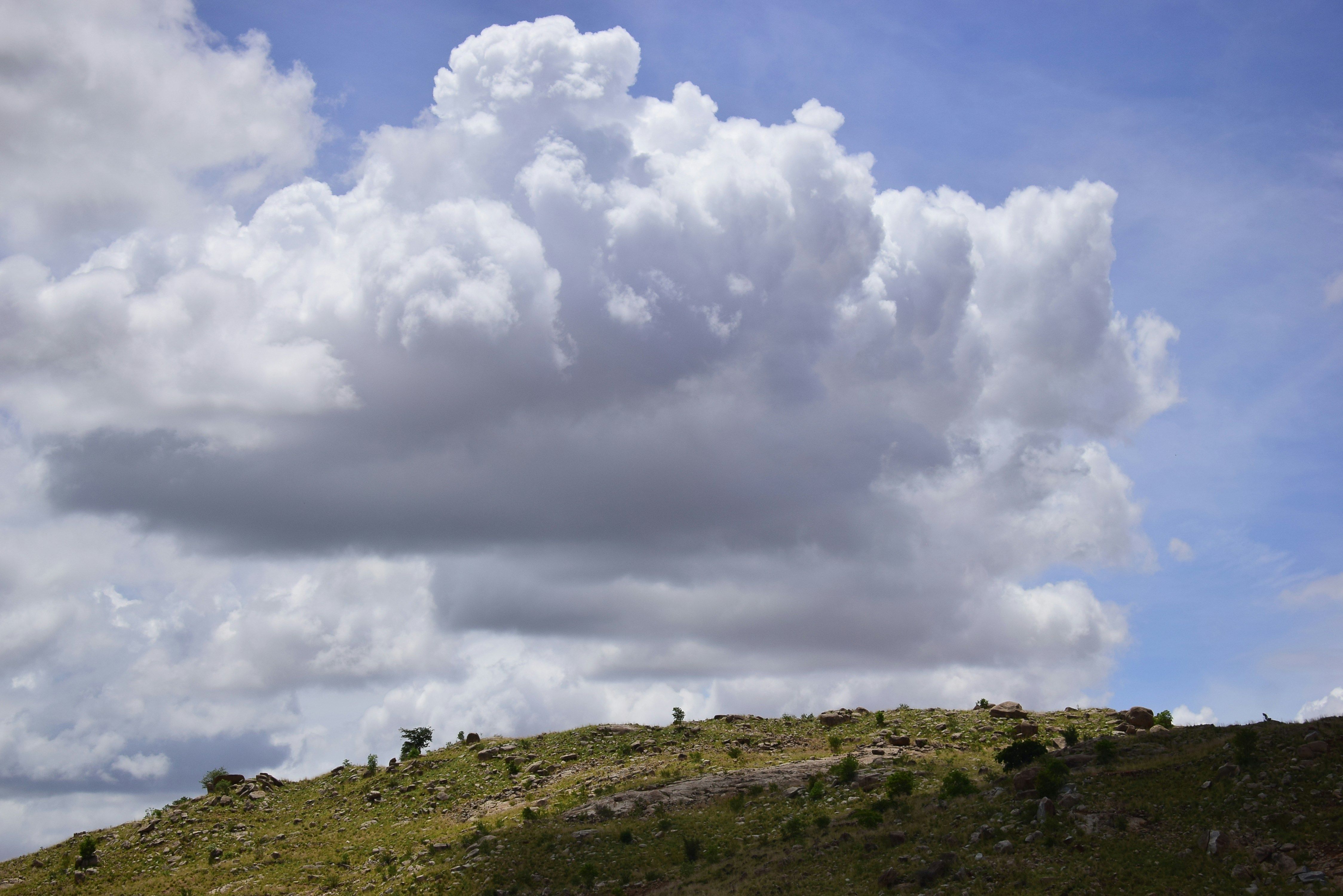 Photo by shutters_flutter