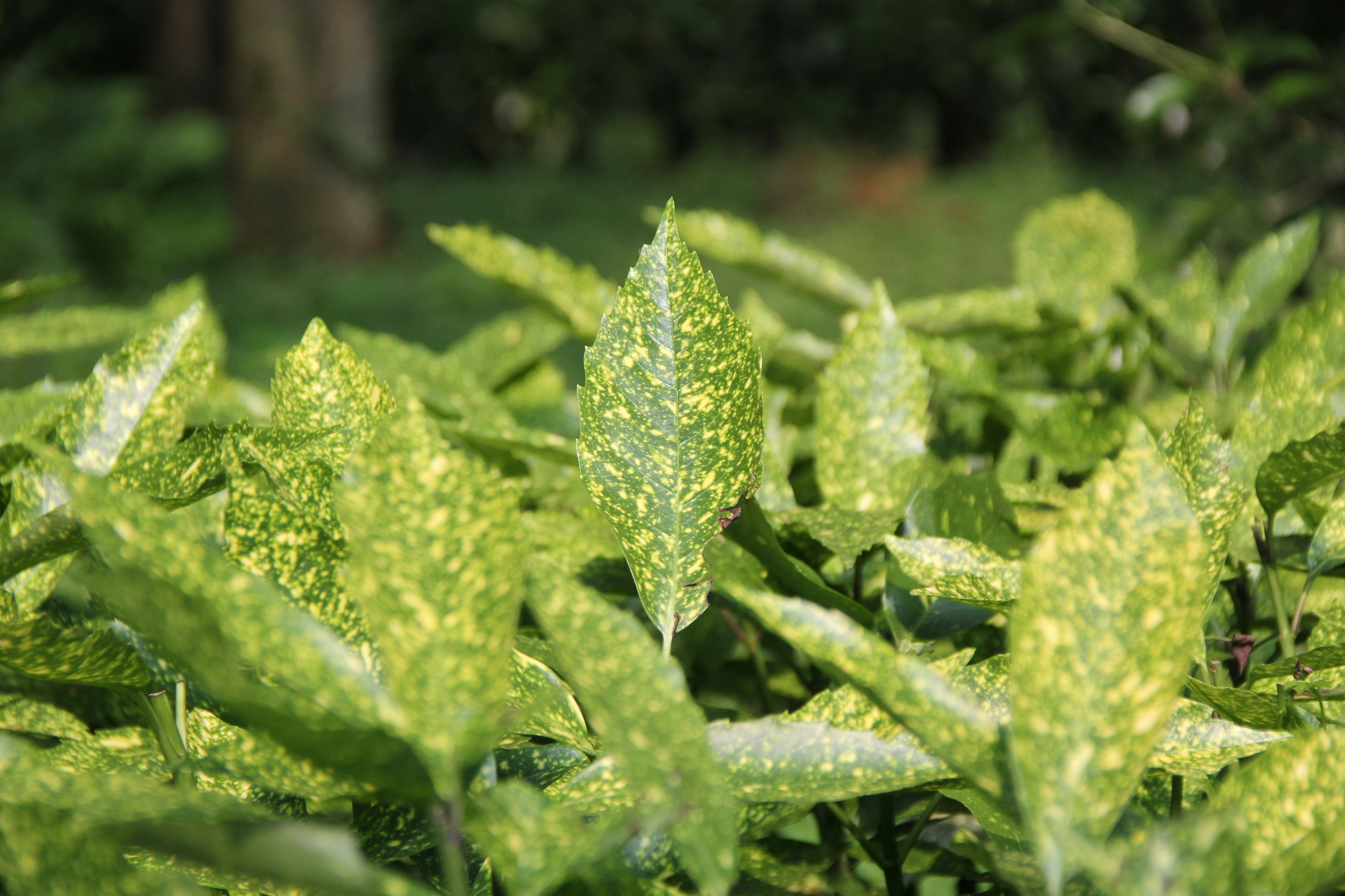 Photo by shanding9313