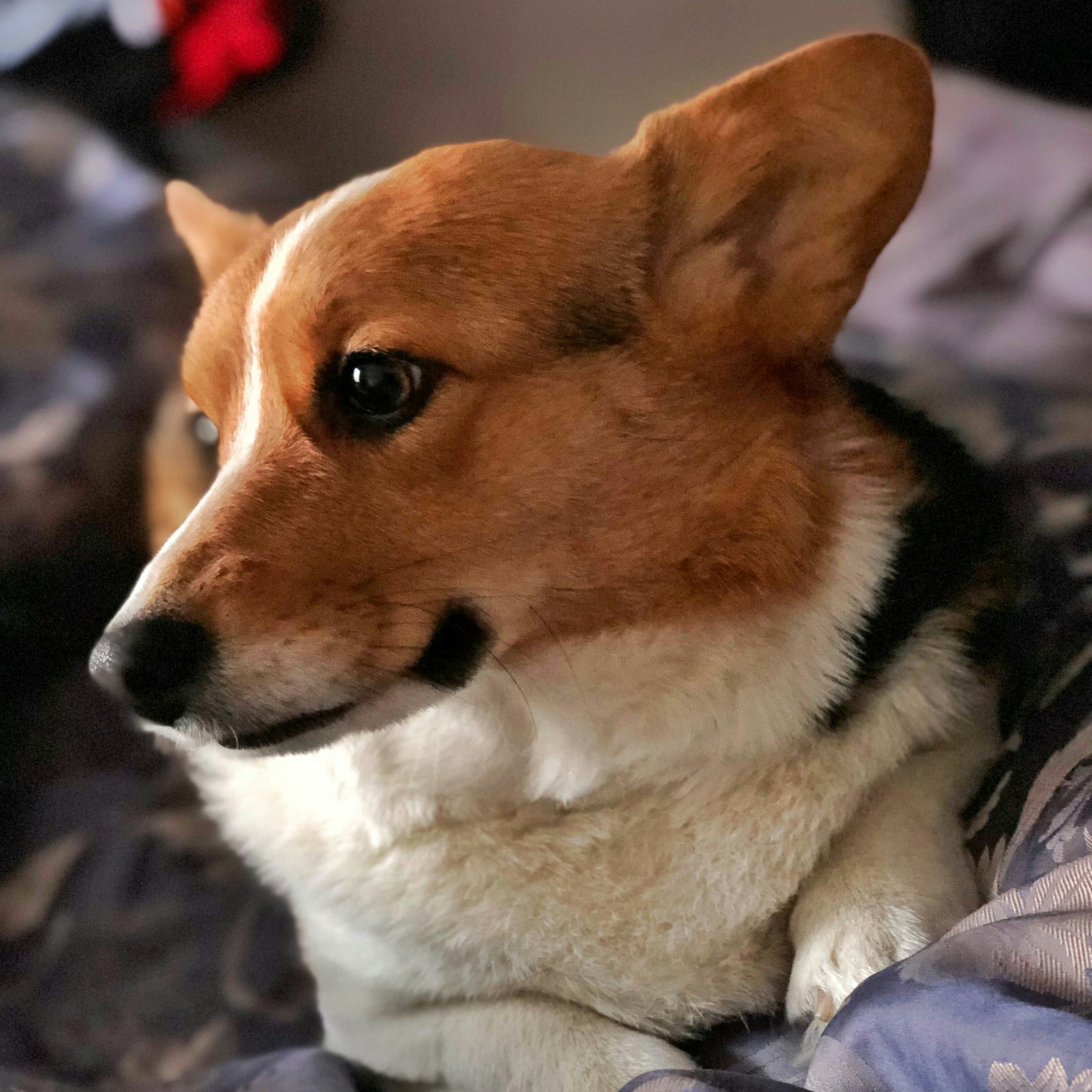 Photo by shanding9313