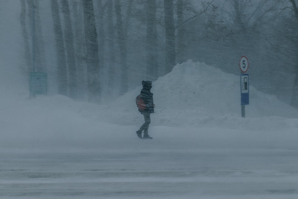 a person walking in the snow near a street sign