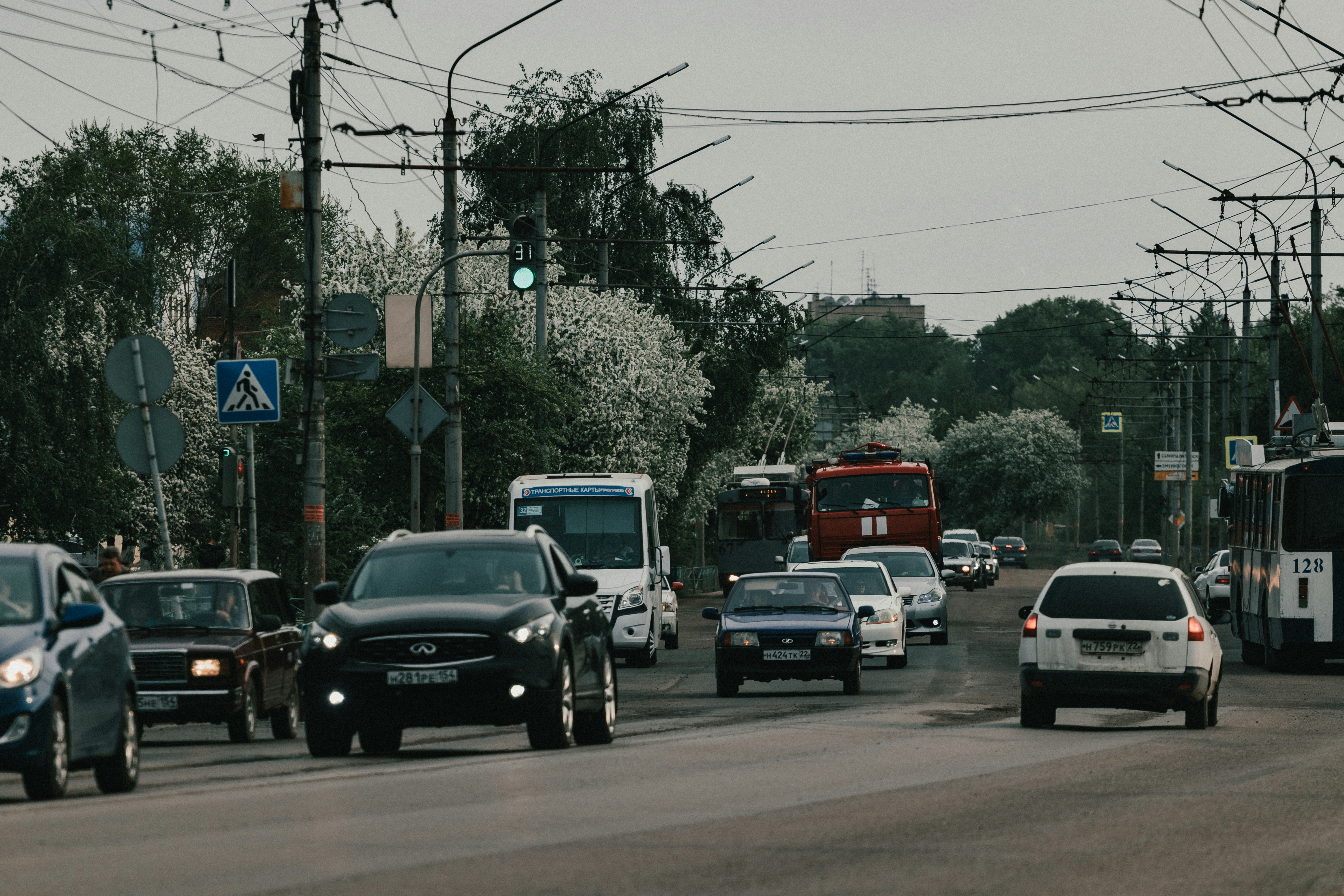 Photo by rubtsovskcat