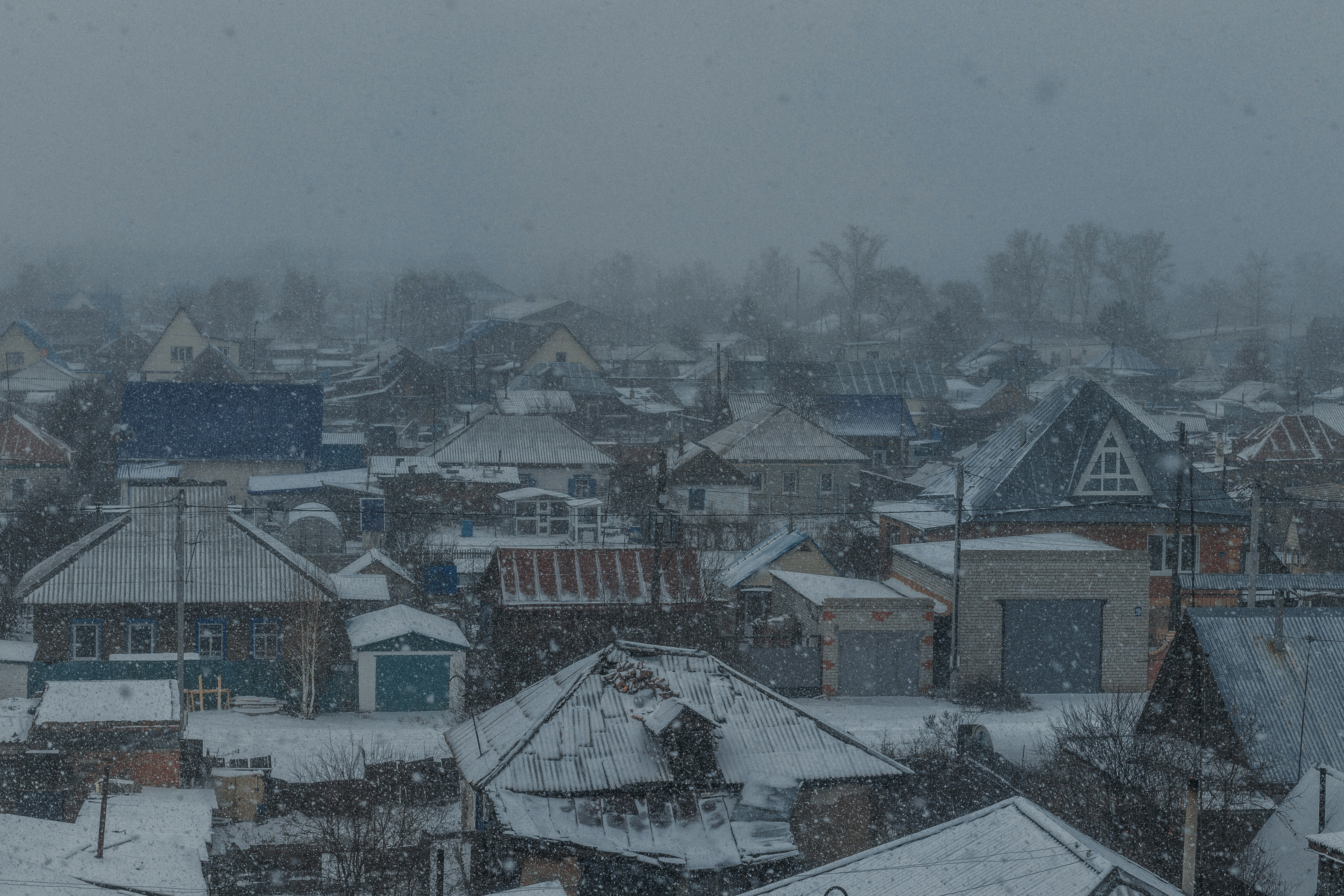 Photo by rubtsovskcat