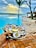A hand holds a plate of oysters on ice, garnished with herbs and a lemon wedge, against the backdrop of a serene poolside setting. The pool borders a wooden deck that leads to a sandy beach with gentle ocean waves under a partly cloudy sky. Palm trees and thatched umbrellas add to the tropical ambiance.