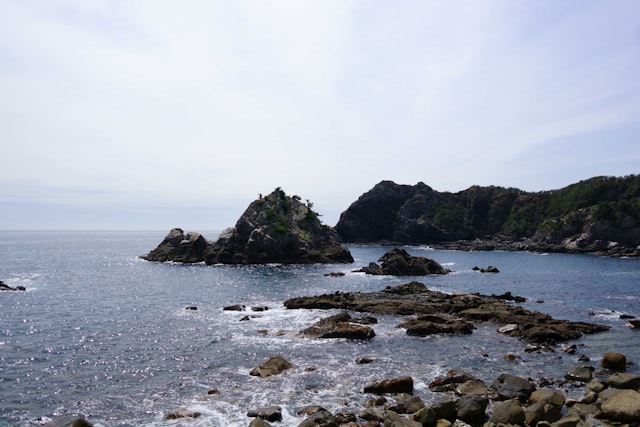 海南钓土鲮最佳饵料配方