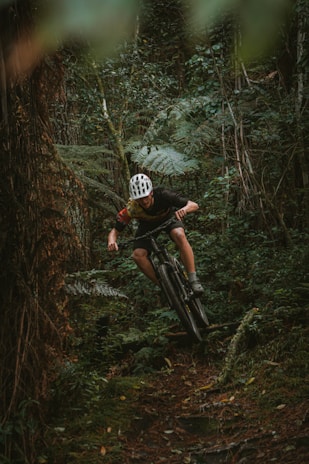 A rider navigating through a dense forest path.