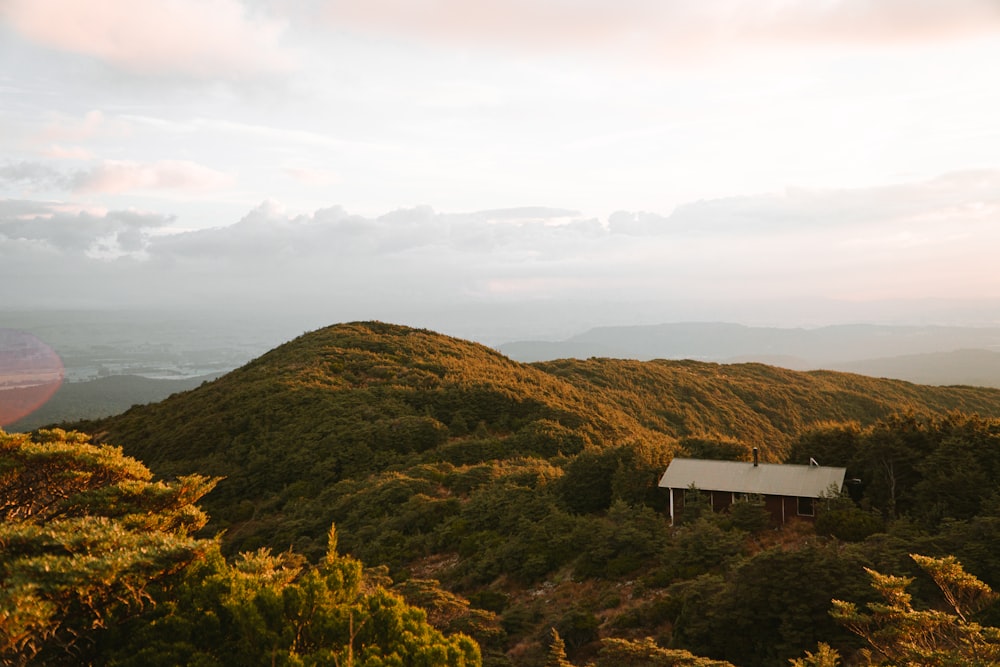 a house on top of a hill surrounded by trees