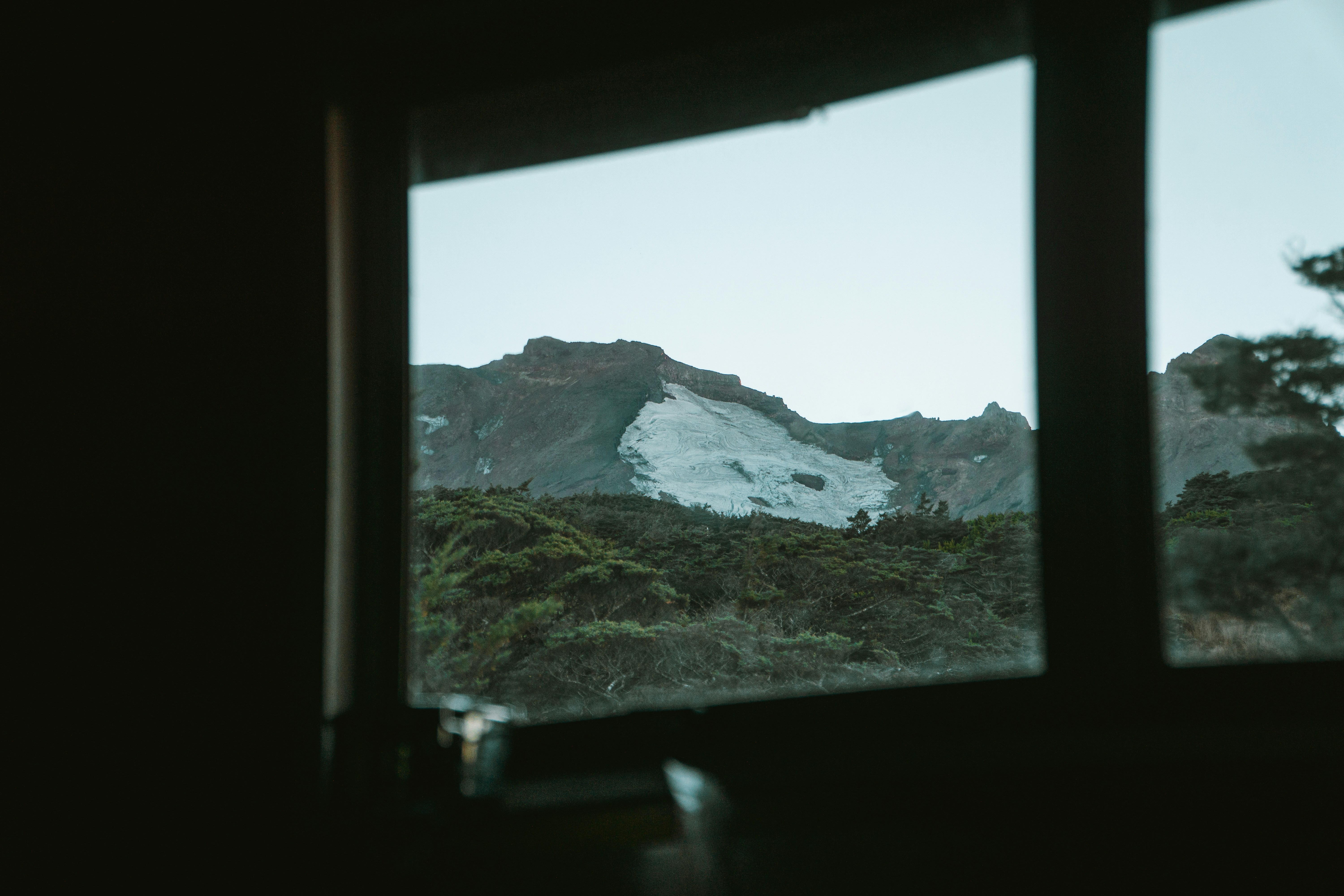 Forest camp site